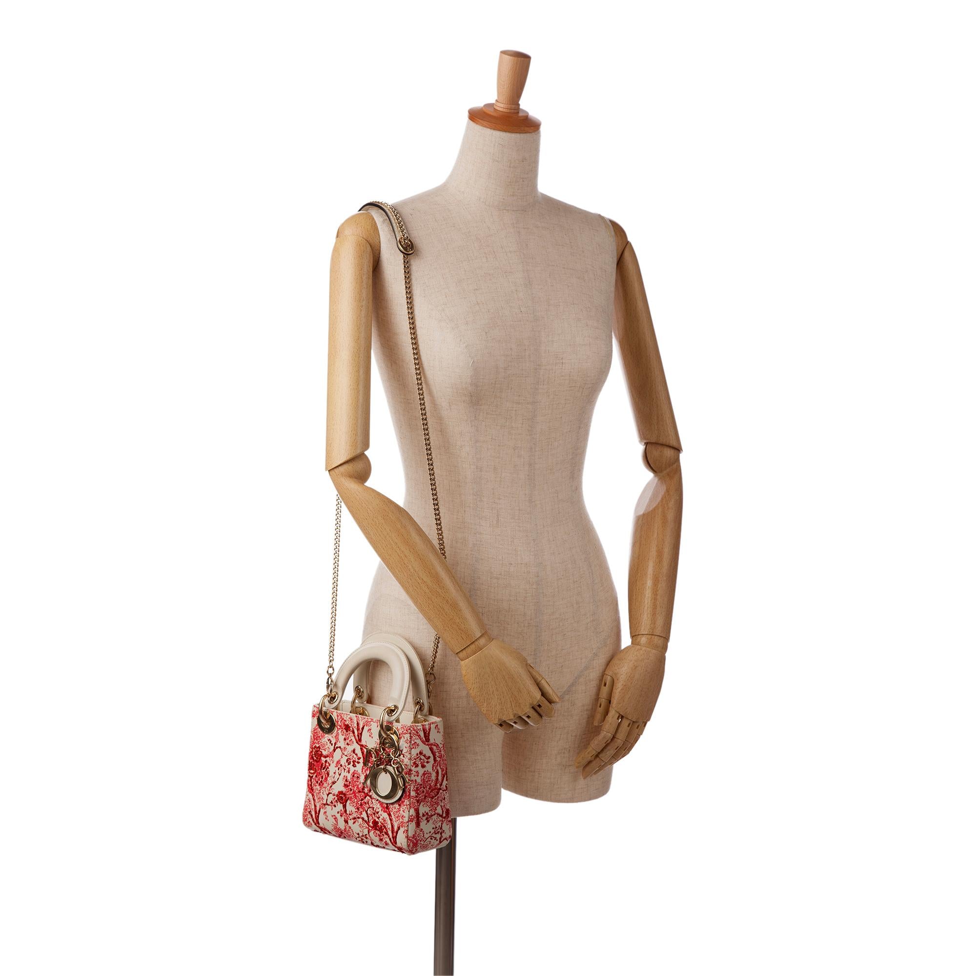 Dior Mini Floral Toile de Jouy Lady Dior (SHG-Kfg3ki)