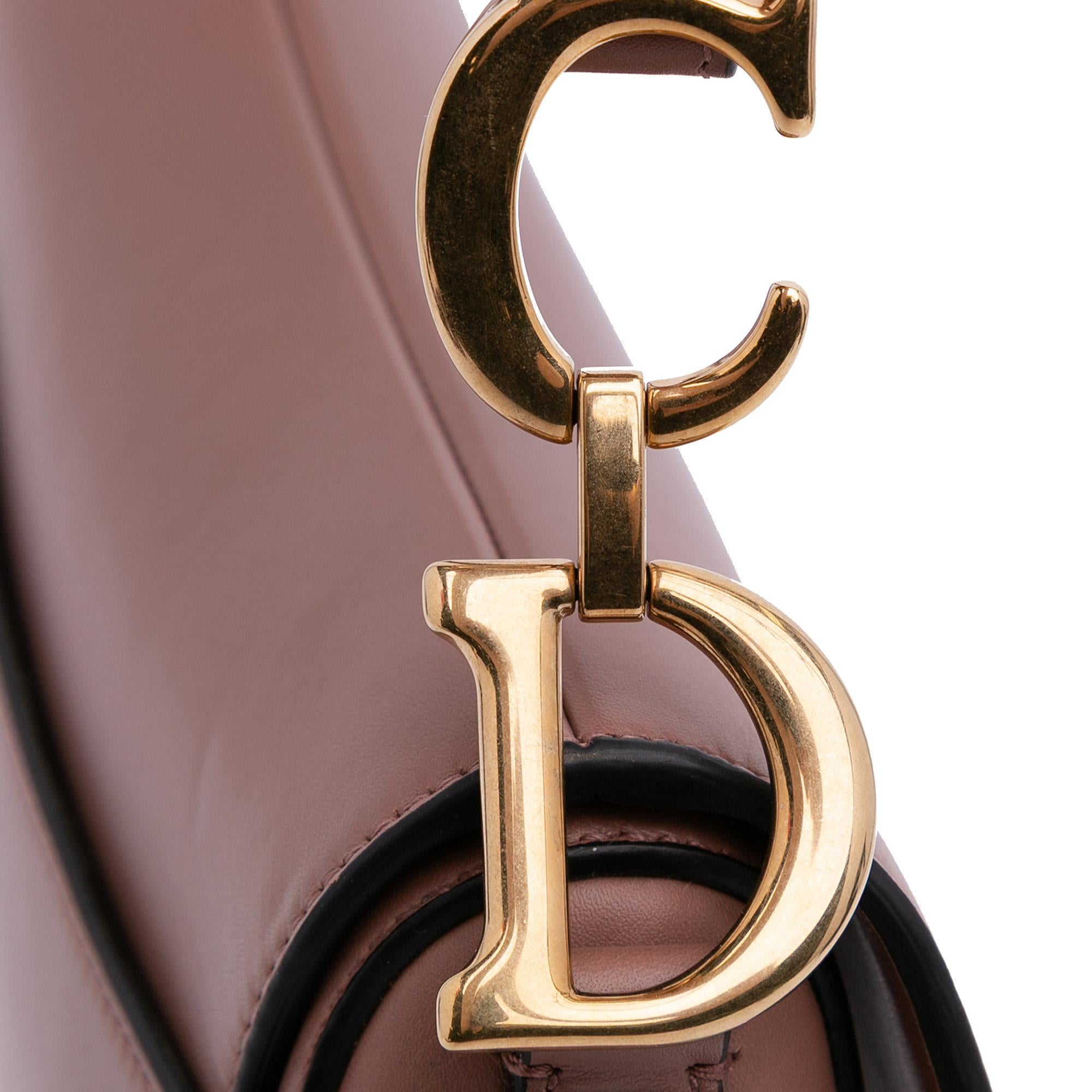 Dior Mini Leather Saddle Bag