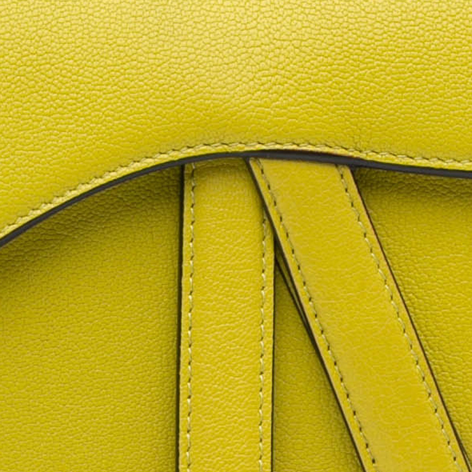 Dior Mini Leather Saddle