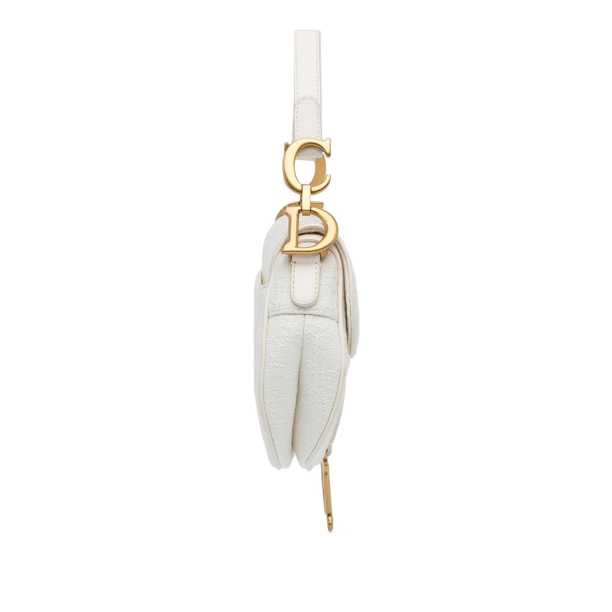 Dior Mini Oblique Saddle (SHG-Qjxnym)