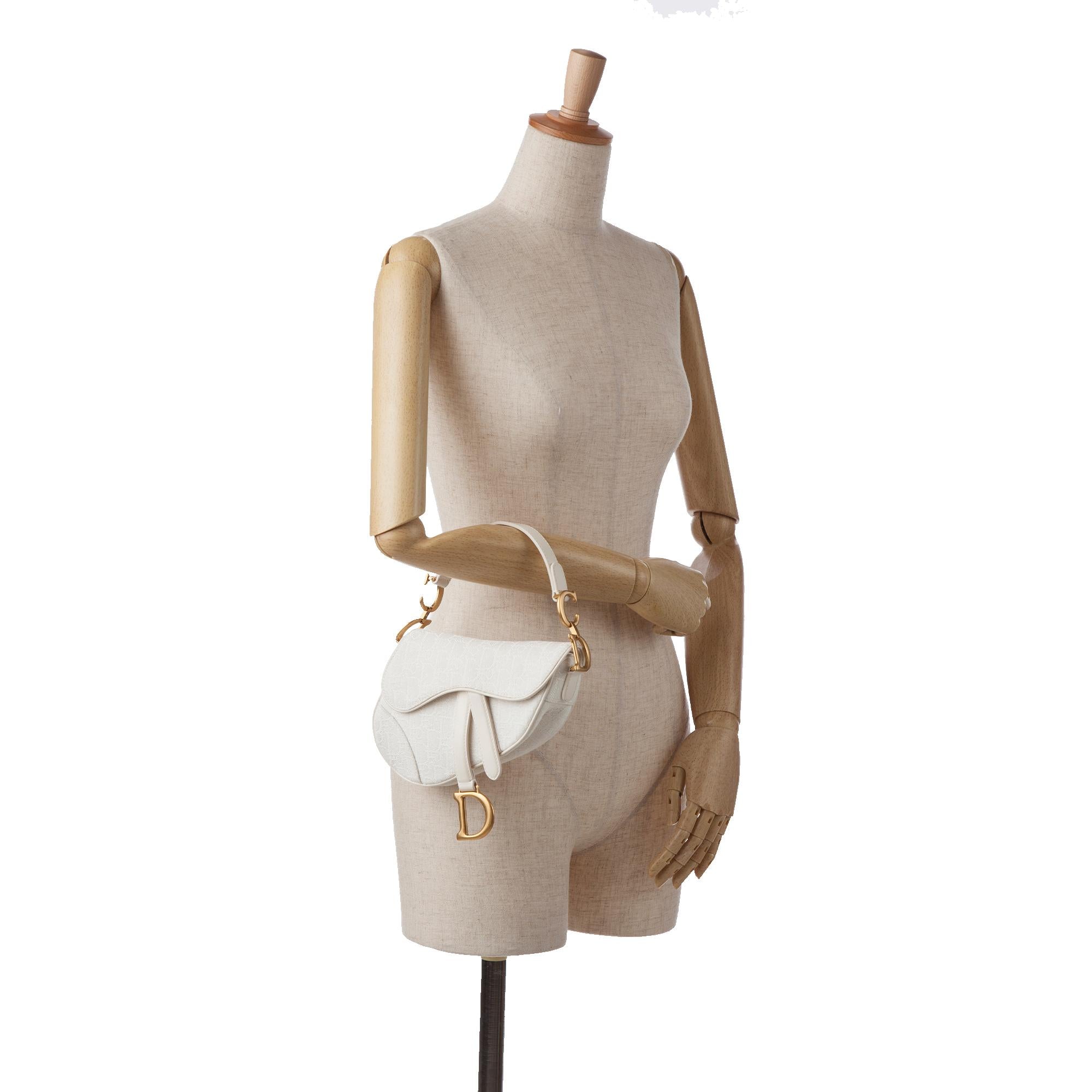 Dior Mini Oblique Saddle (SHG-Qjxnym)