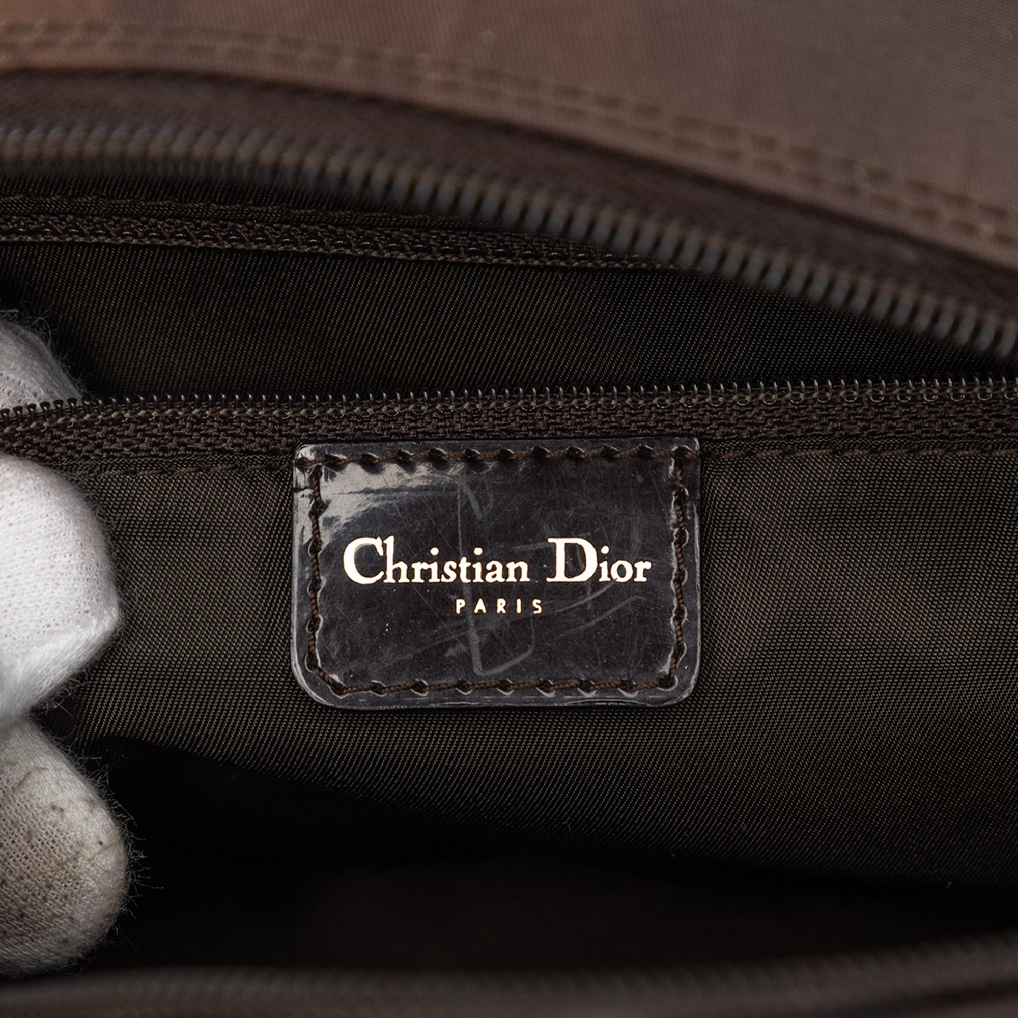 Dior Mini Printed Nylon Double Saddle Bowler Bag