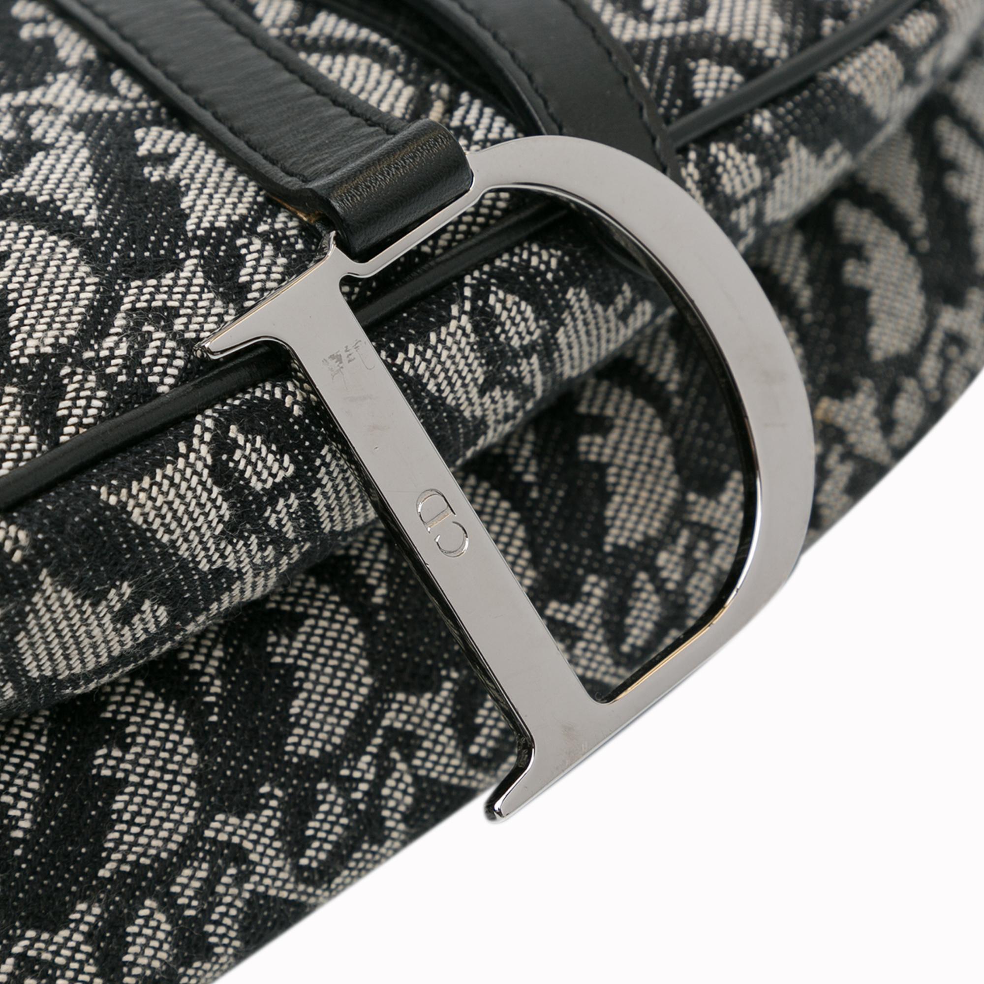 Dior Oblique Canvas Saddle (SHG-4Ylzsd)