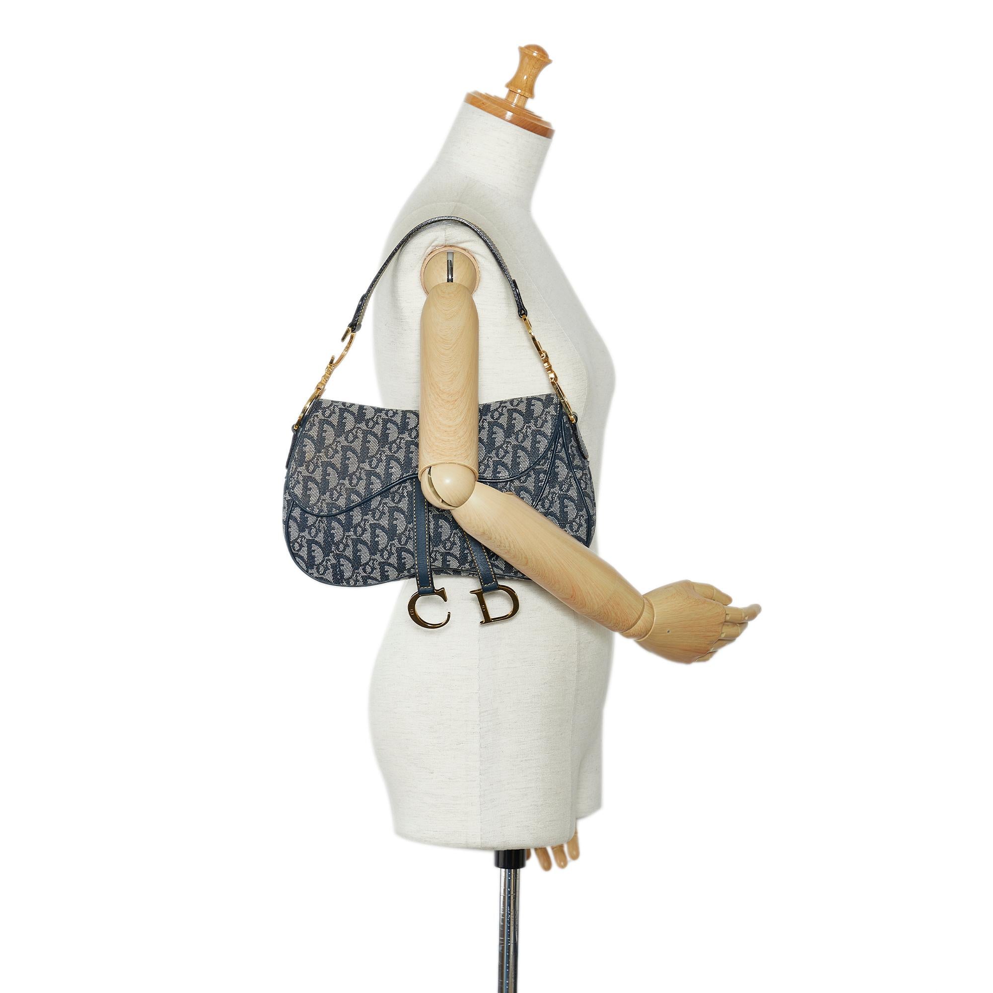 Dior Oblique Double Saddle (SHG-ljxD0O)