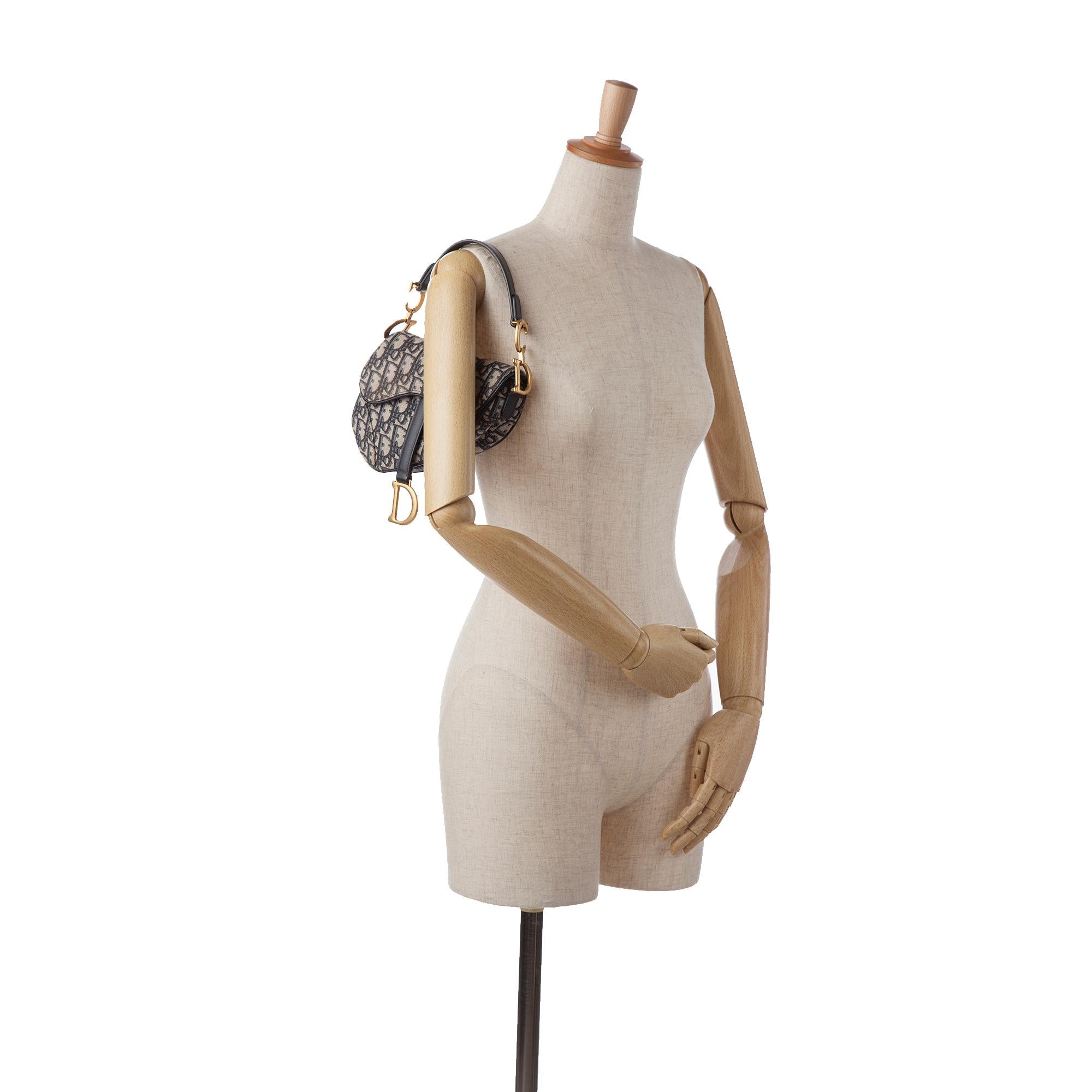 Dior Oblique Saddle Bag (SHG-rgbAfN)