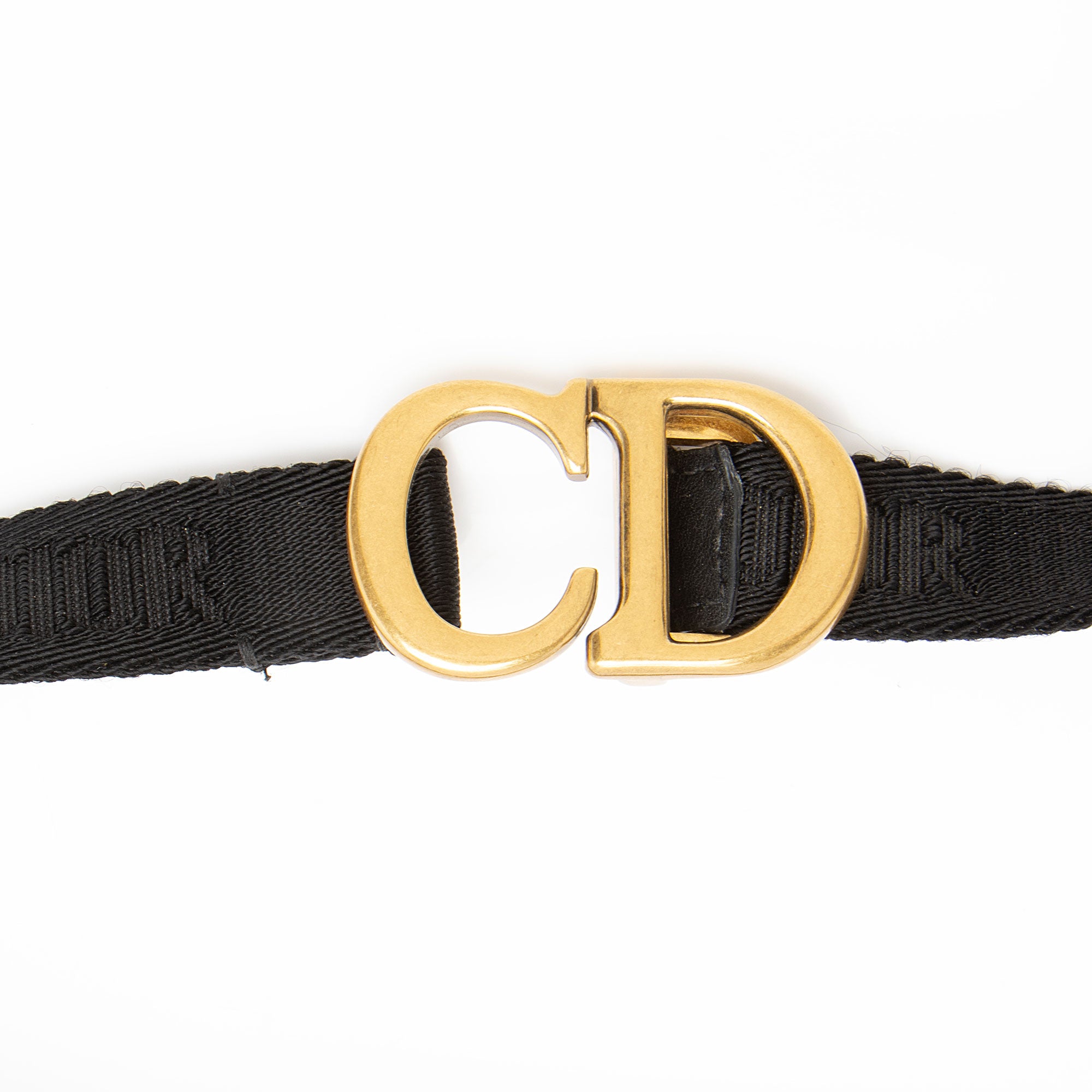 Dior Oblique Saddle Belt Bag