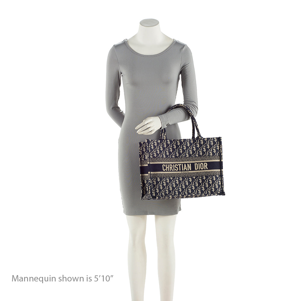 Dior Oblique Small Book Tote (SHF-76cgkZ)