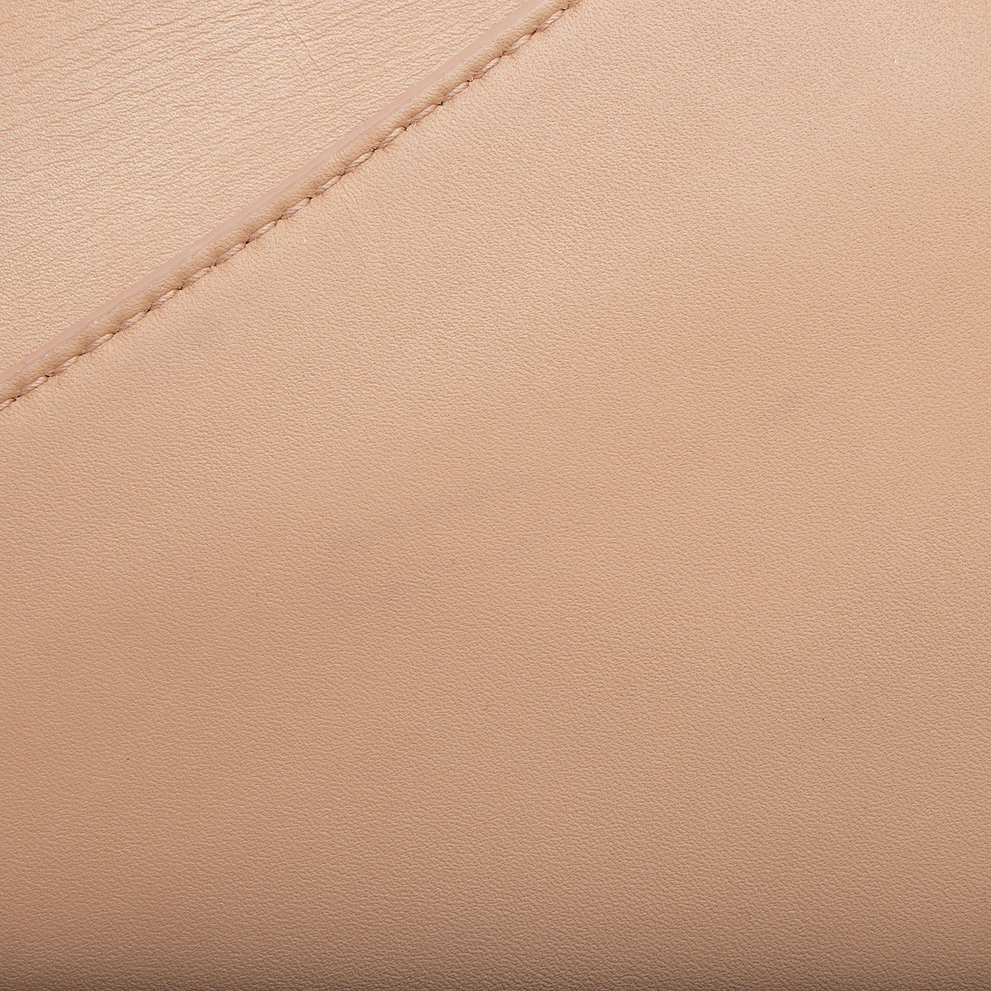 Dior Ultramatte Calfskin Saddle Bag (SHF-LXNddA)