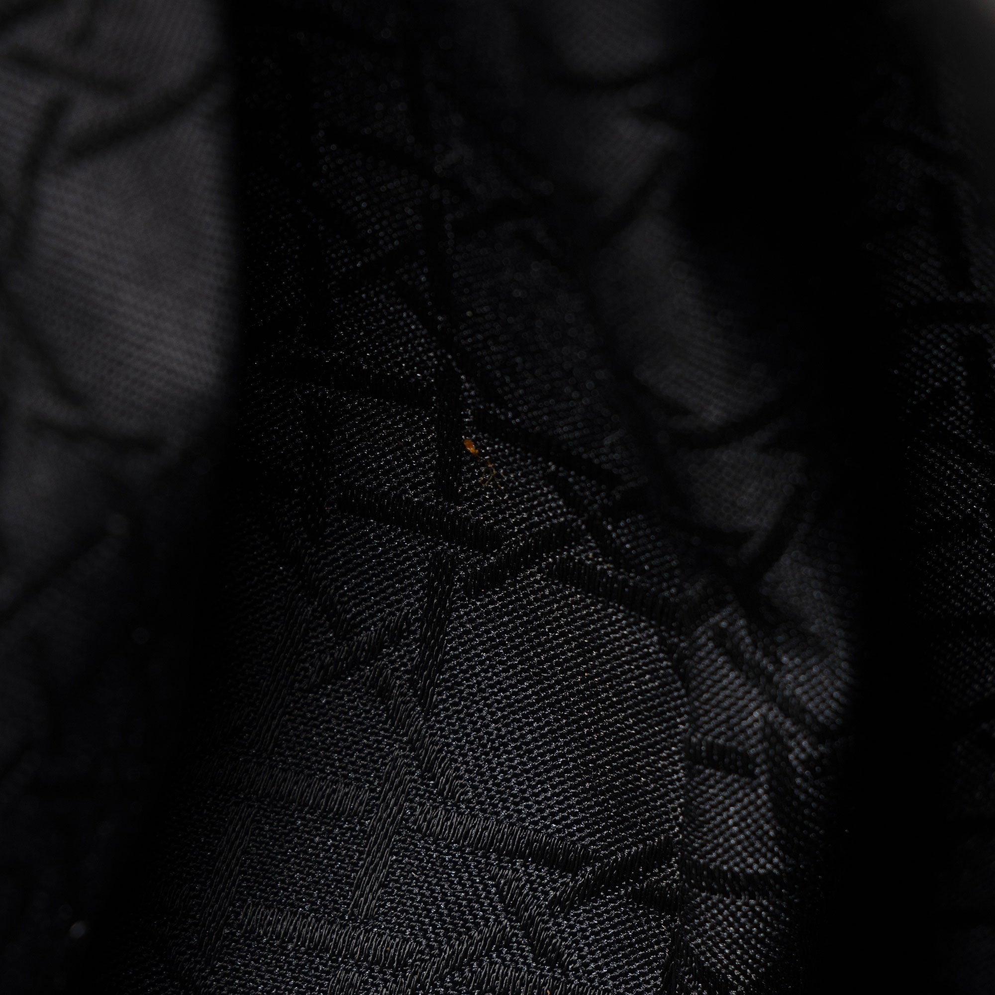 Dior Vintage Canvas Leopard Lady Dior Large Tote (SHF-ec5zqj)