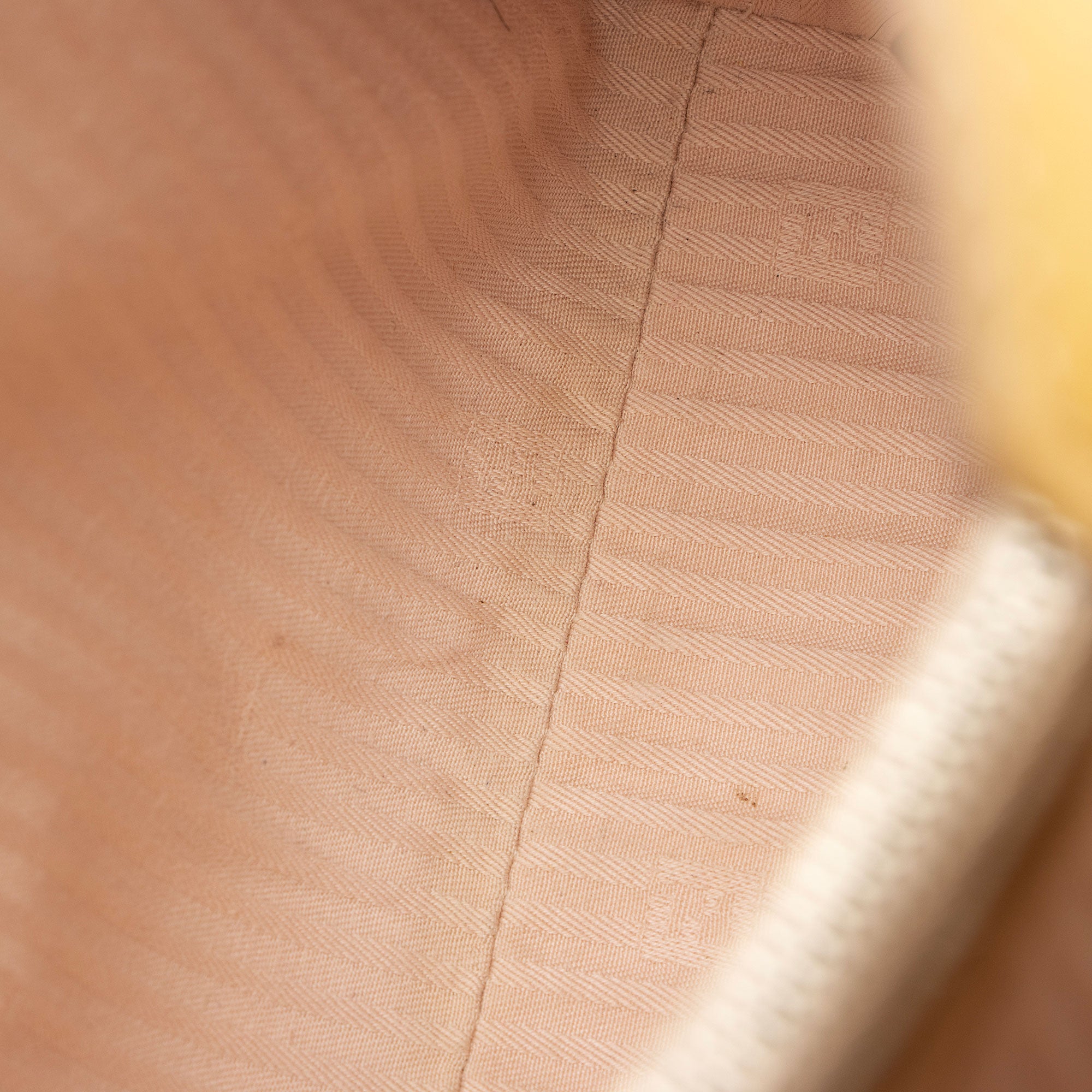 Fendi Leather Petite 2Jours Tote