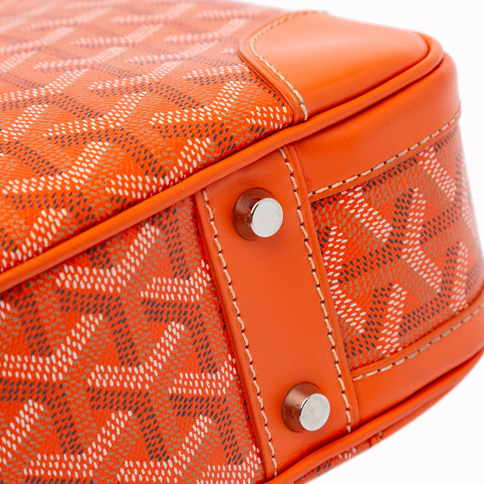 Goyard Goyardine Ambassade PM (SHG-9uSBTp)