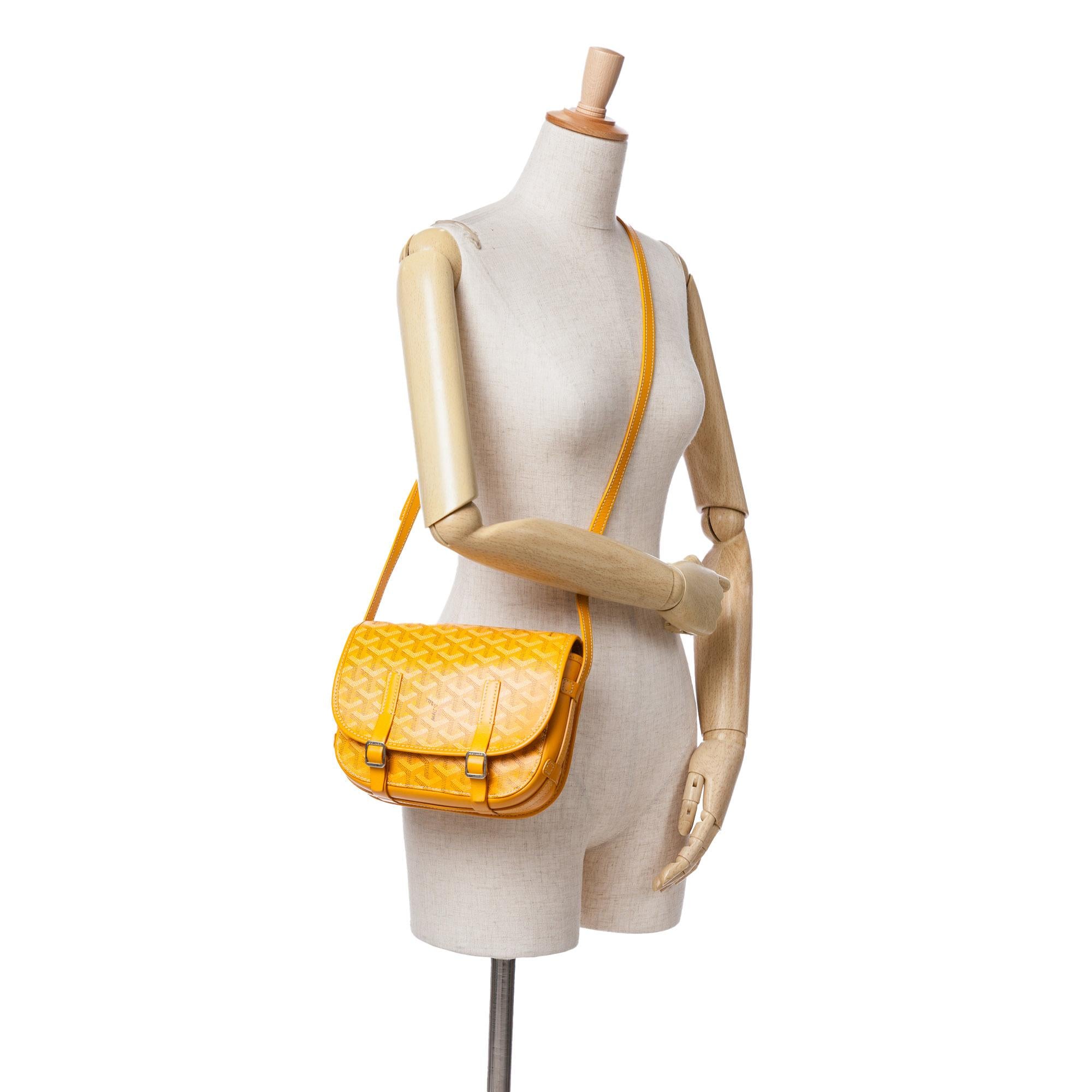 Goyard Goyardine Belvedere PM