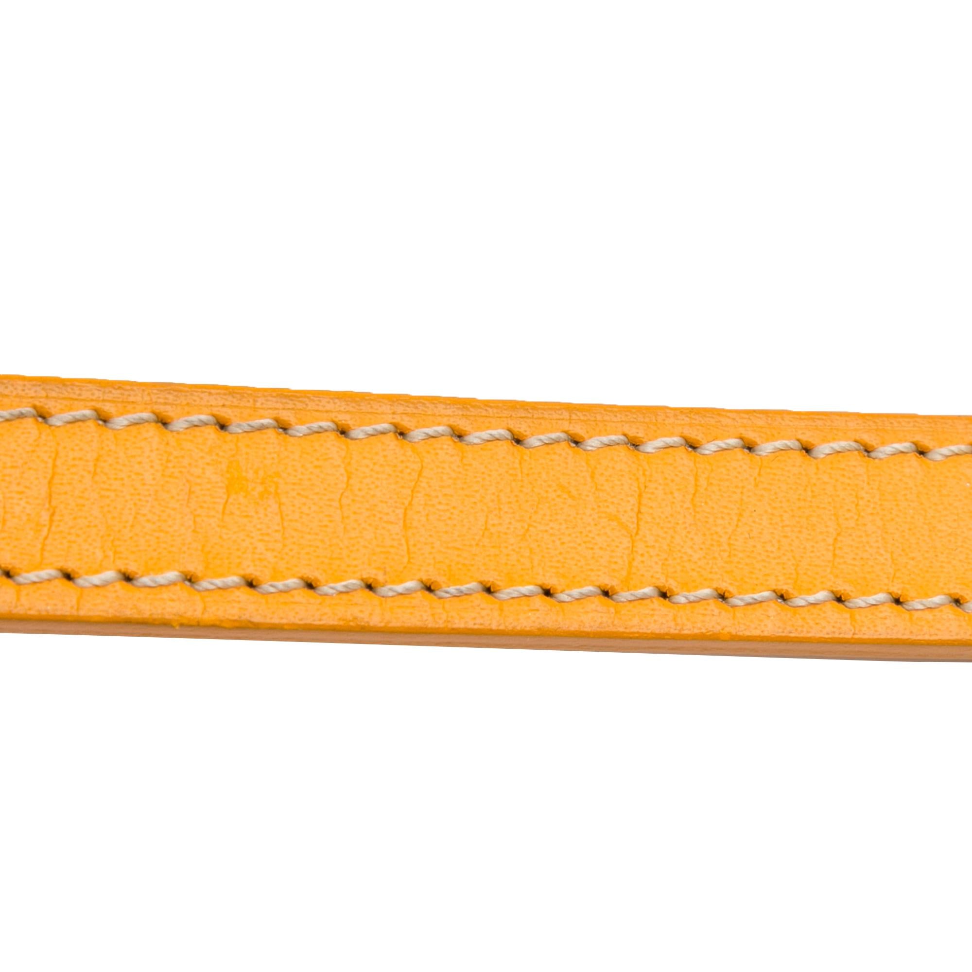 Goyard Goyardine Sac Cap Vert (SHG-cbmNNa)