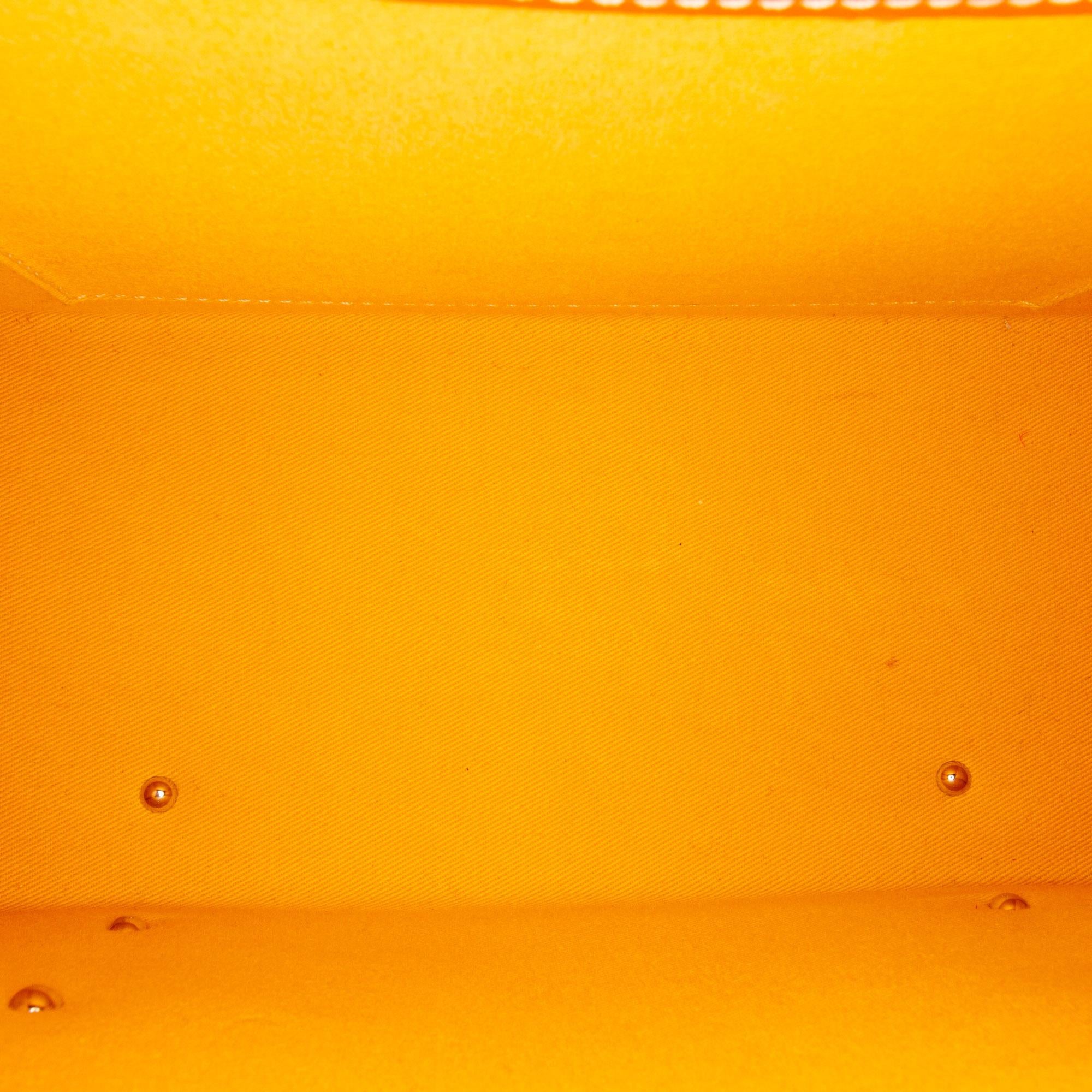 Goyard Goyardine Saigon PM (SHG-2TnTw8)