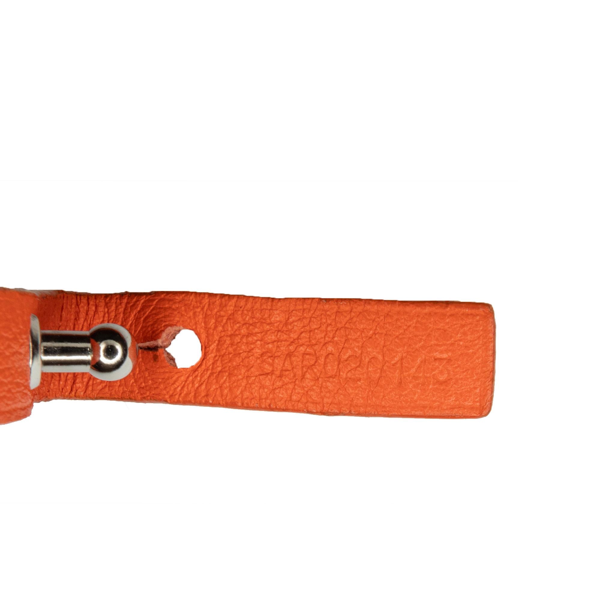 Goyard Goyardine Saint Louis PM (SHG-AFtegN)