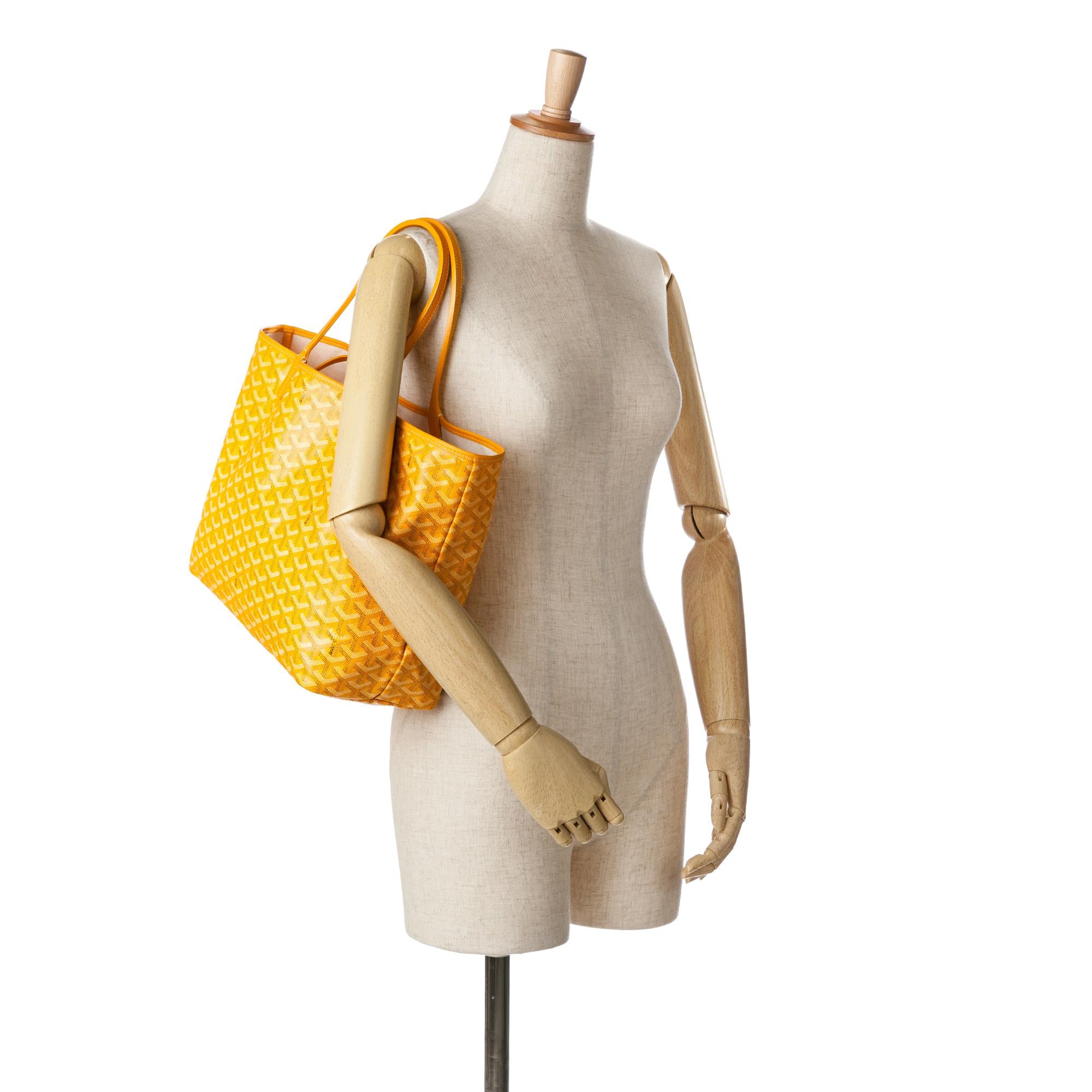 Goyard Goyardine Saint Louis PM (SHG-36WzKL)