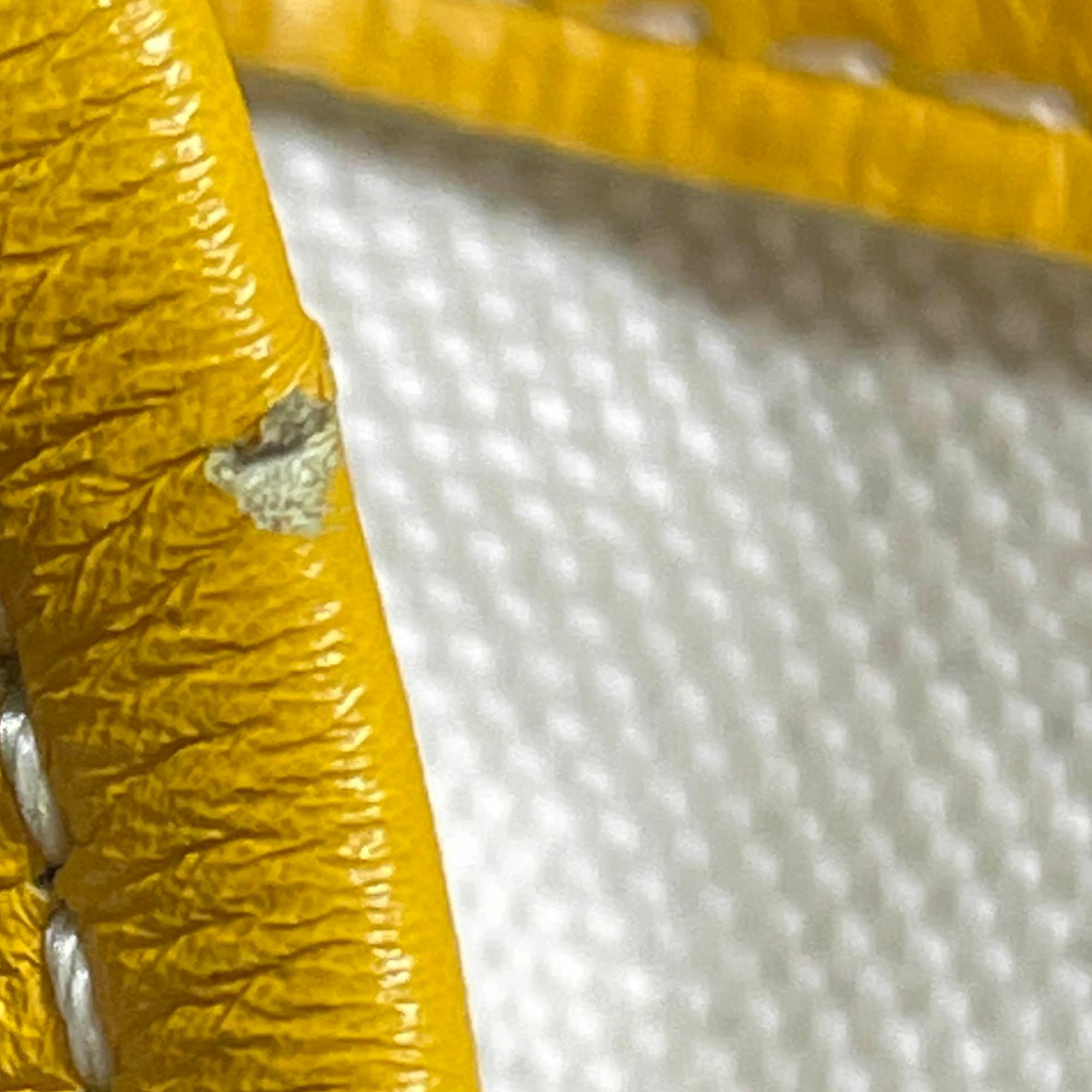 Goyard Goyardine Saint Louis PM (SHG-i873M5)