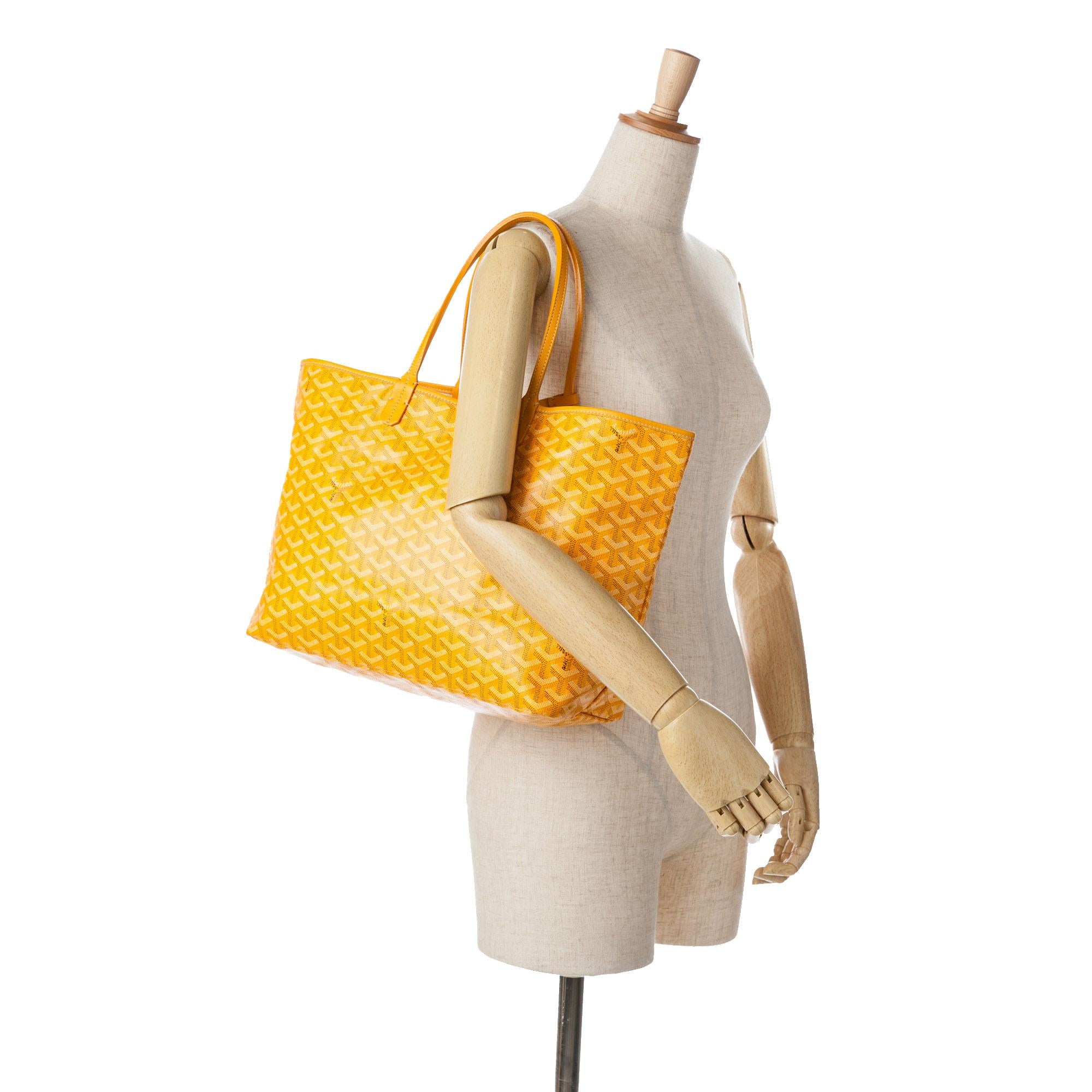 Goyard Goyardine Saint Louis PM (SHG-i873M5)