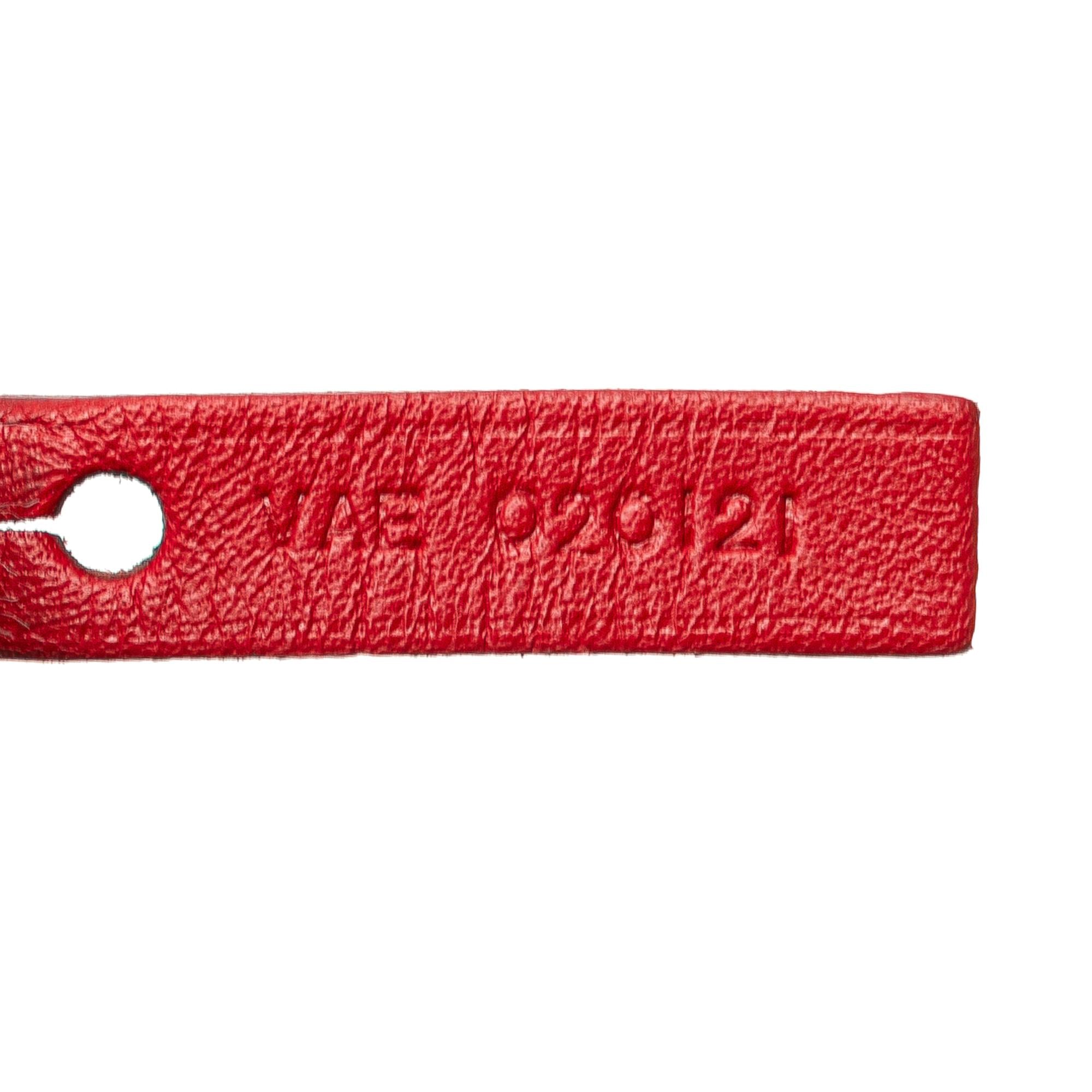 Goyard Goyardine Saint Louis PM