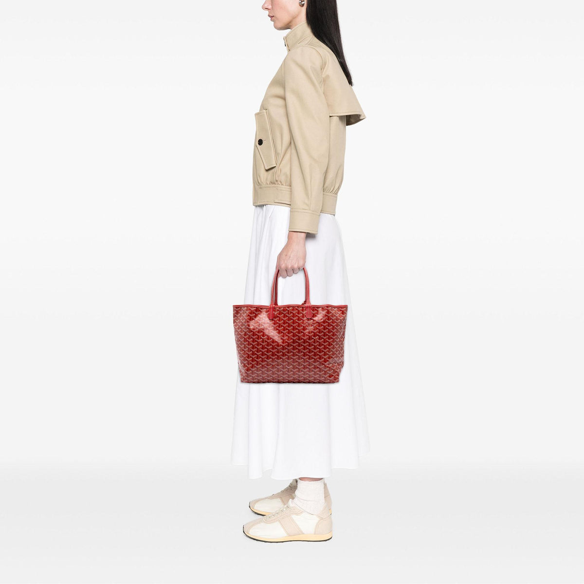 Goyard Goyardine Saint Louis PM