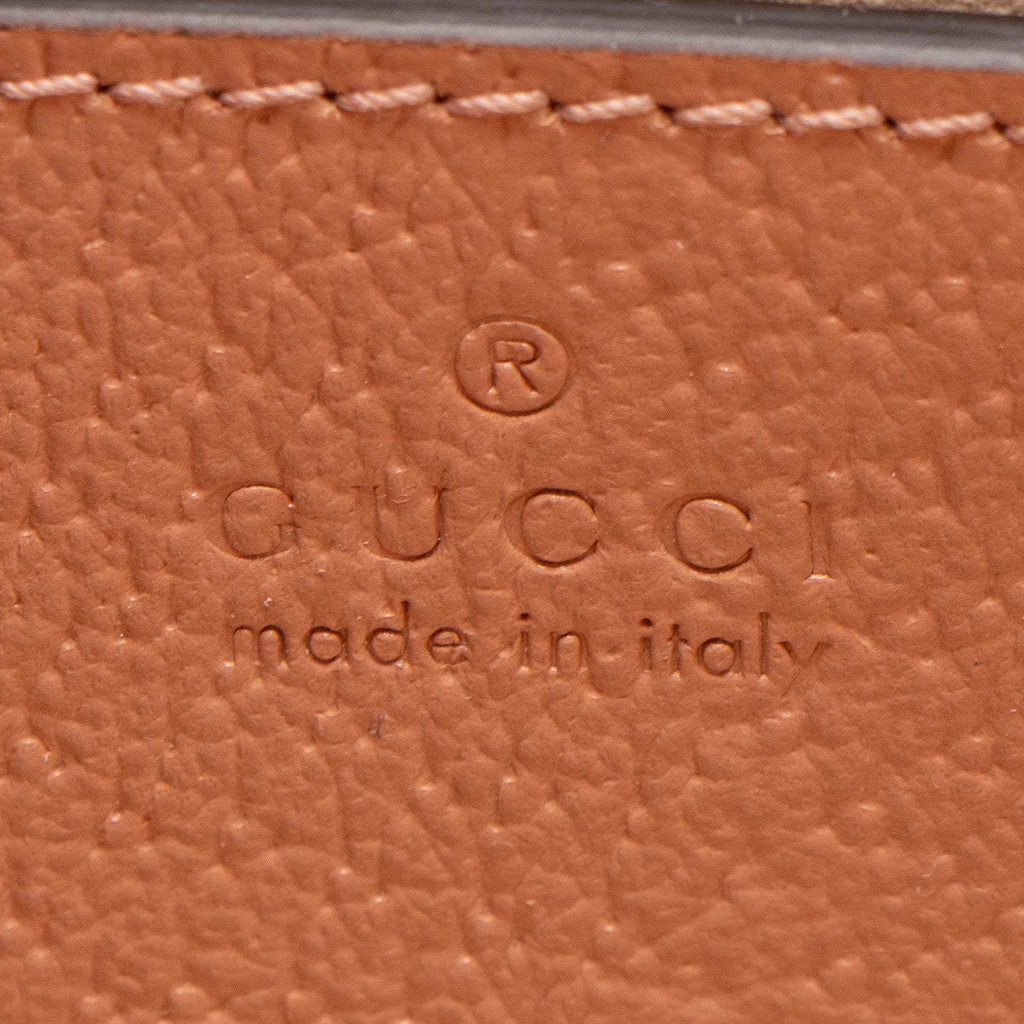 Gucci GG Canvas Ophidia Medium Chain Shoulder Bag