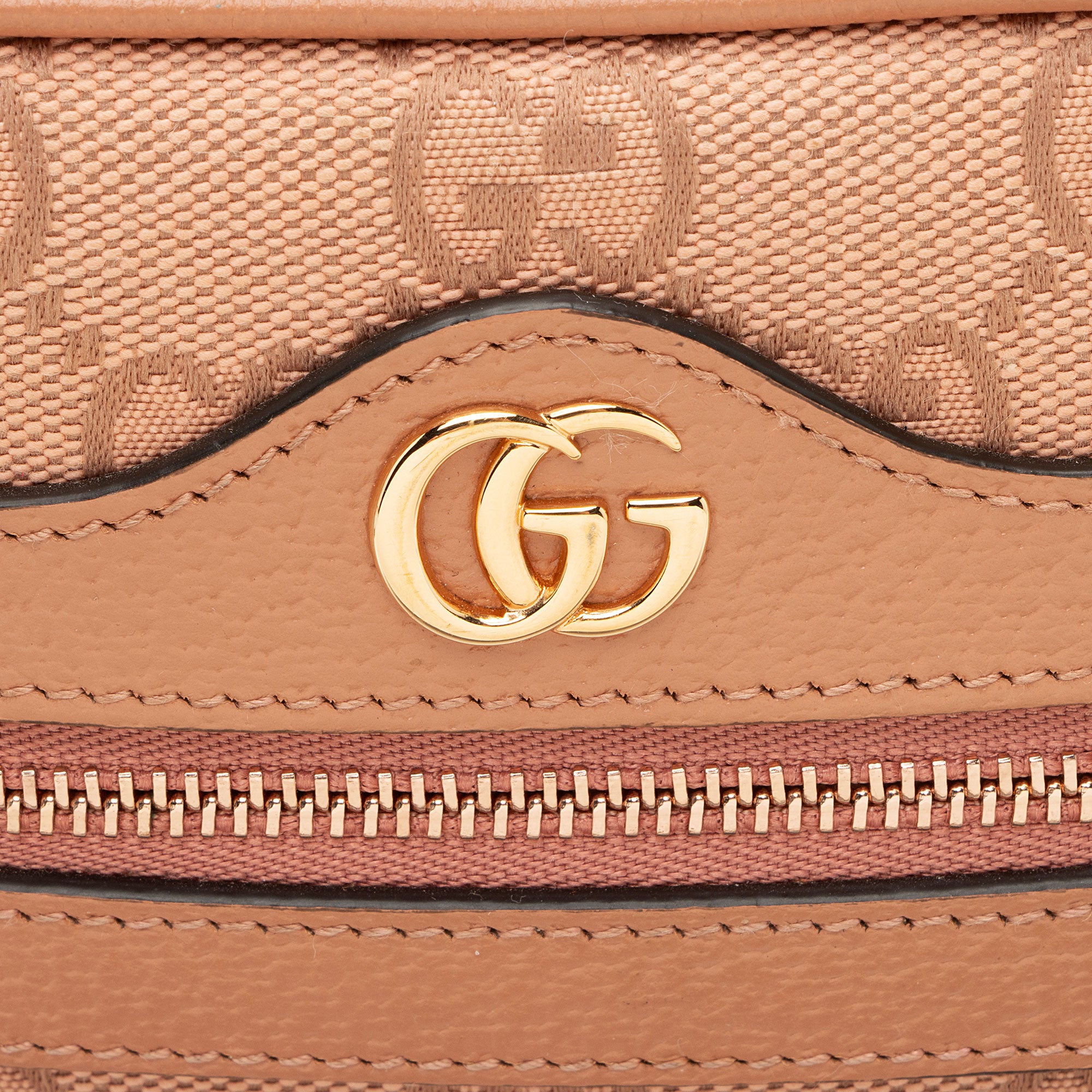Gucci GG Canvas Ophidia Mini Shoulder Bag