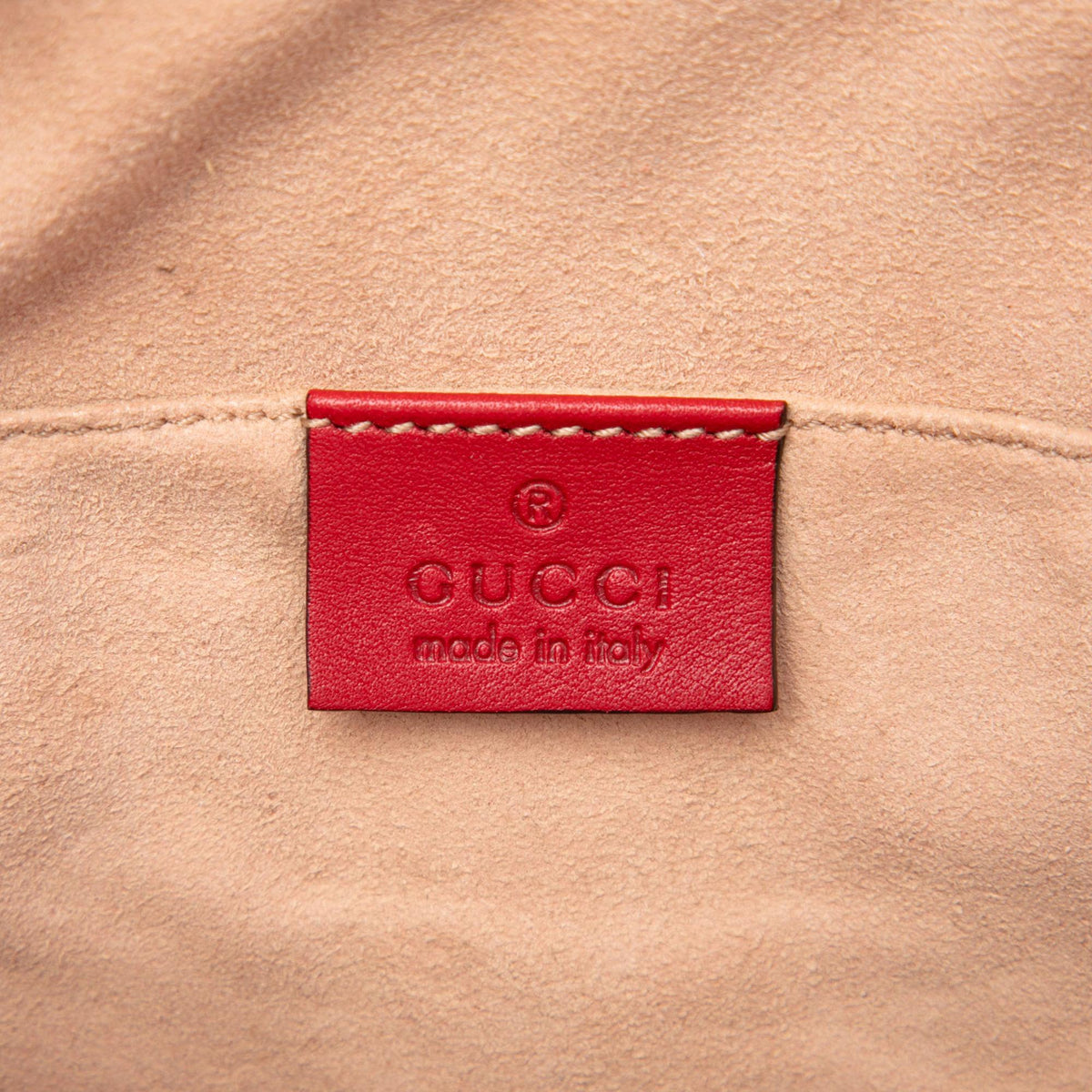 Gucci Guccissima Camera Bag