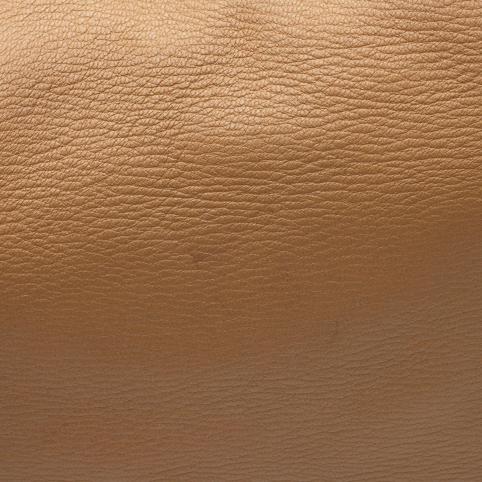 Gucci Leather Sienna Medium Hobo