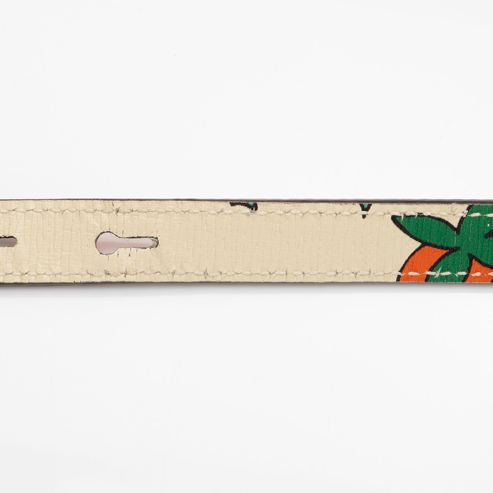 Gucci Printed Leather Strawberry Zumi Medium Tote (SHF-HJJ9pH)