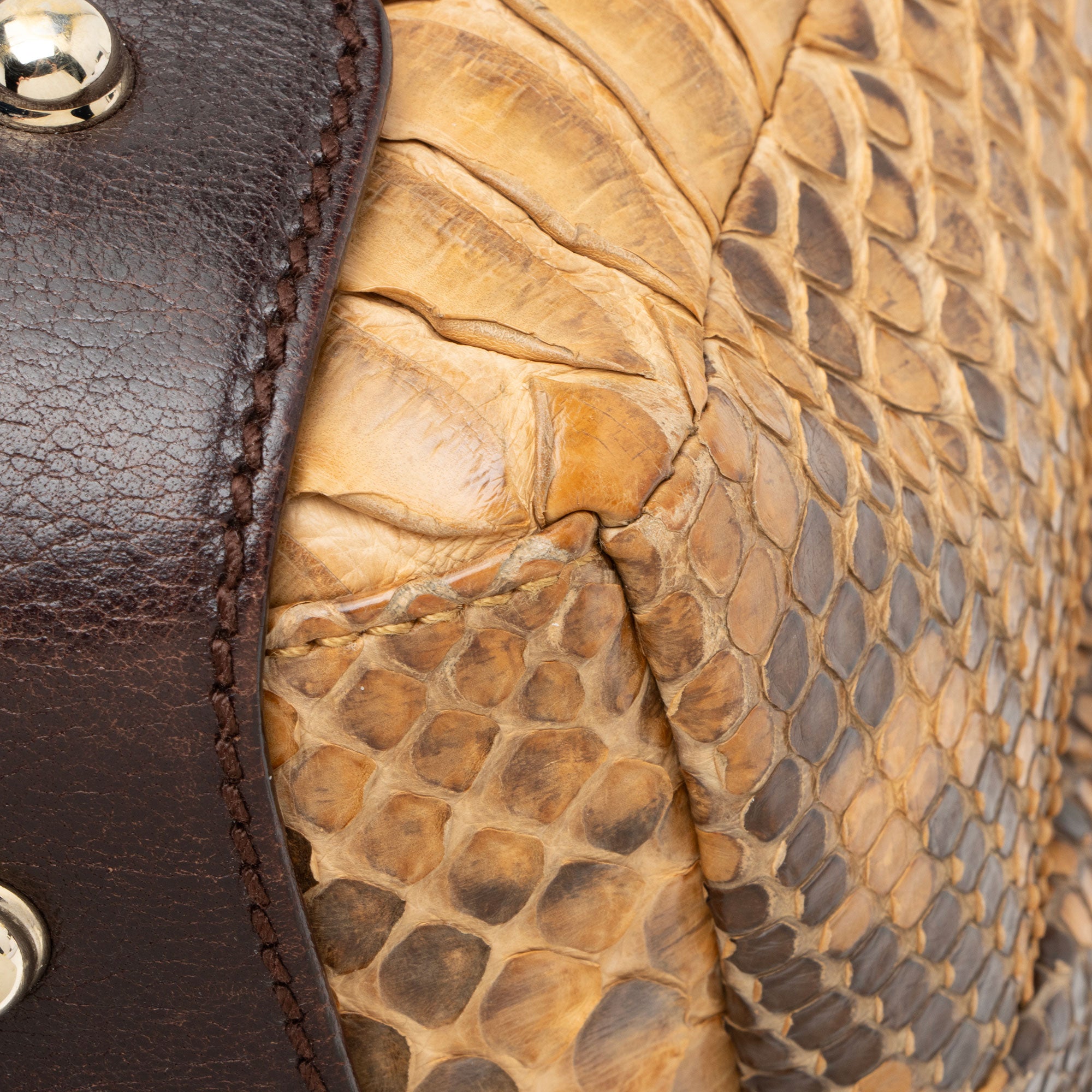 Gucci Python Pelham Medium Shoulder Bag