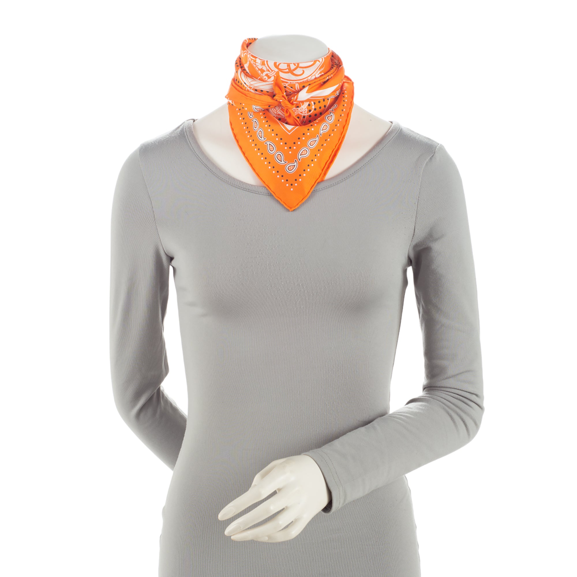 Hermes Silk Ex Libris 55cm Scarf (SHF-4Fc8ZM)