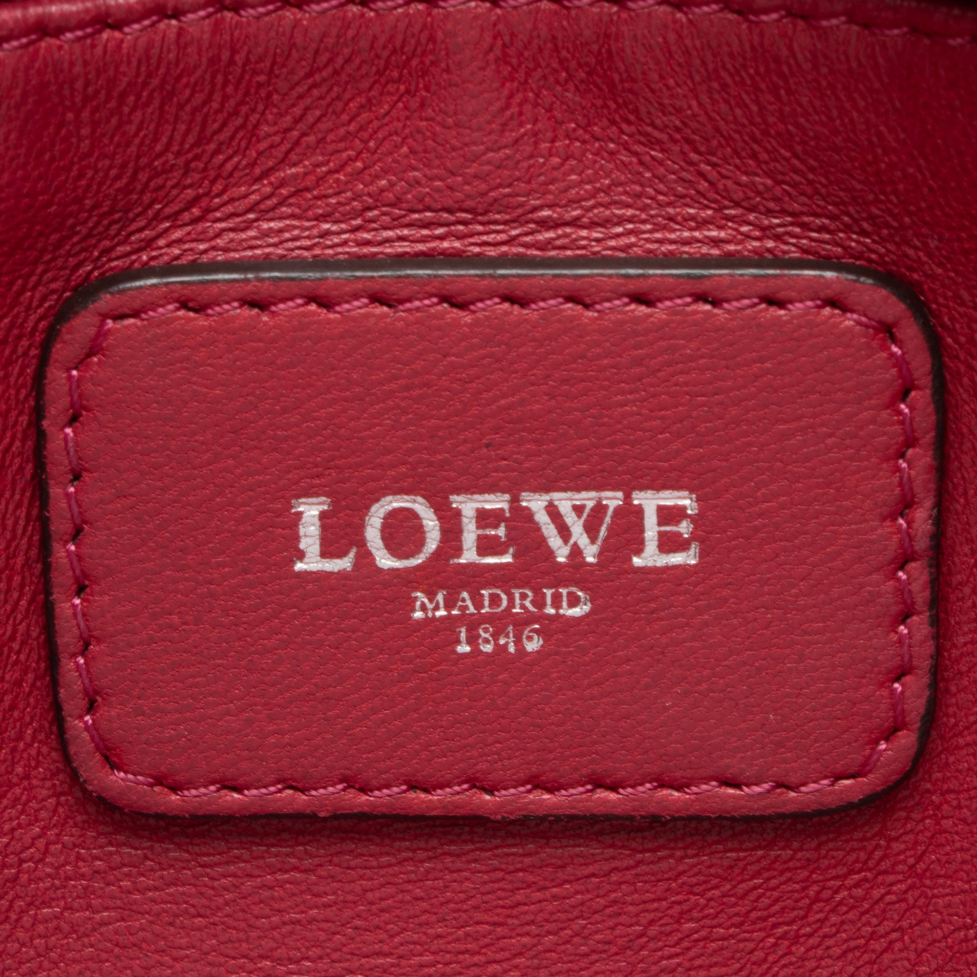 Loewe Leather Amazona 28 Satchel