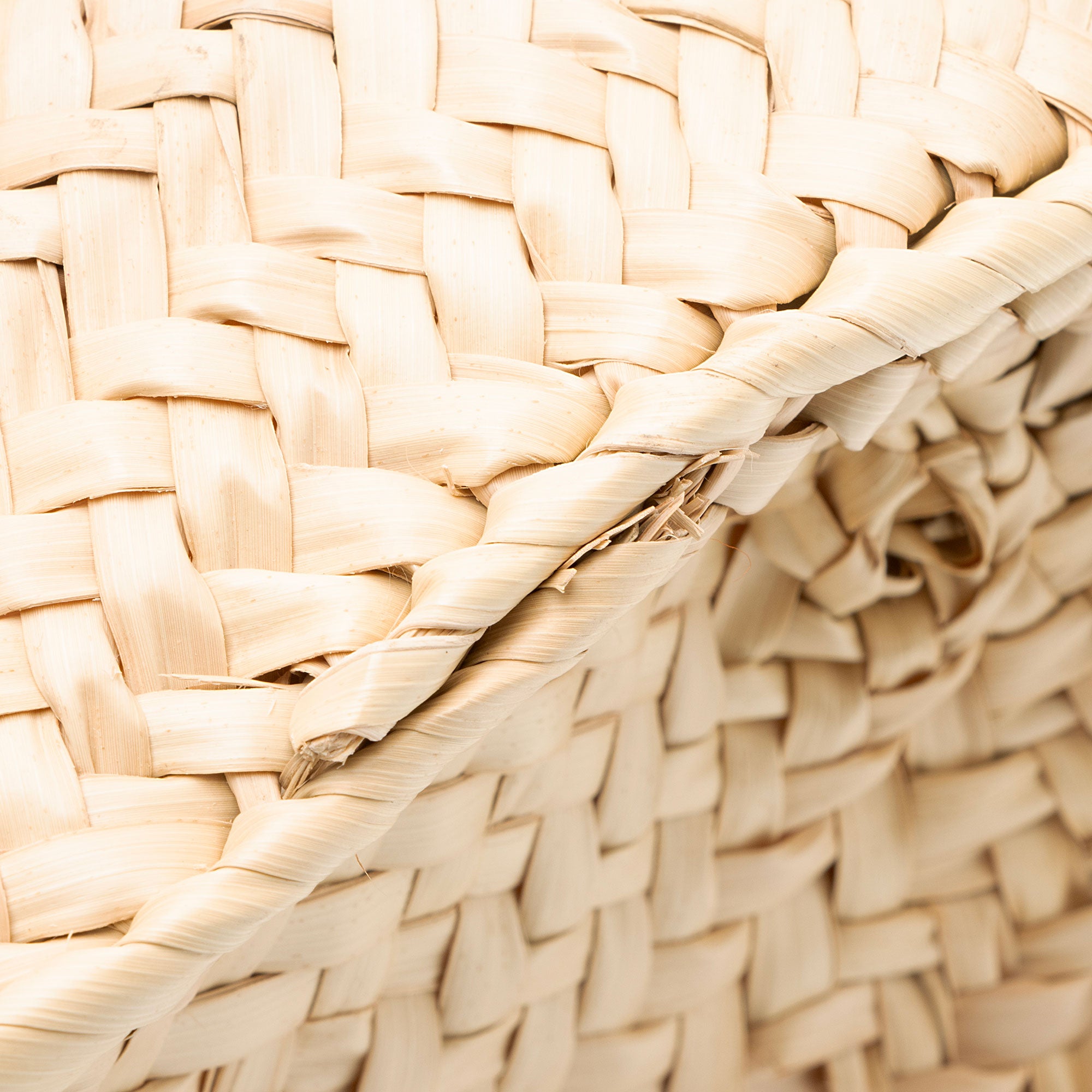 Loewe Raffia Basket Small Tote