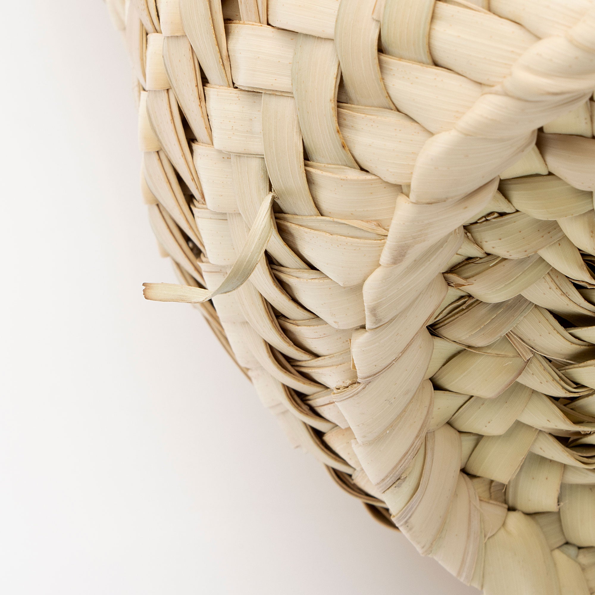 Loewe Raffia Basket Tote