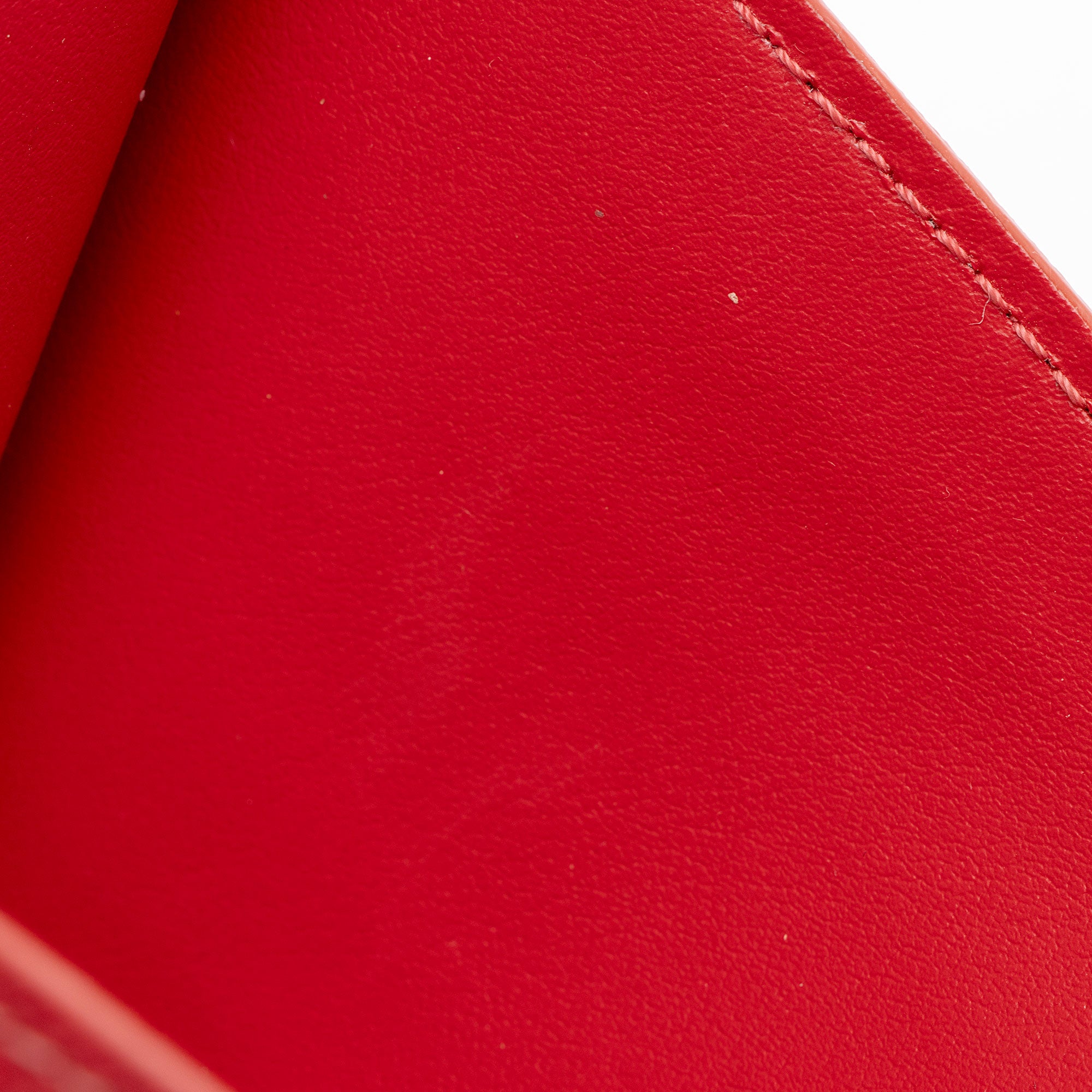 Louis Vuitton Calfskin Felicie Insert