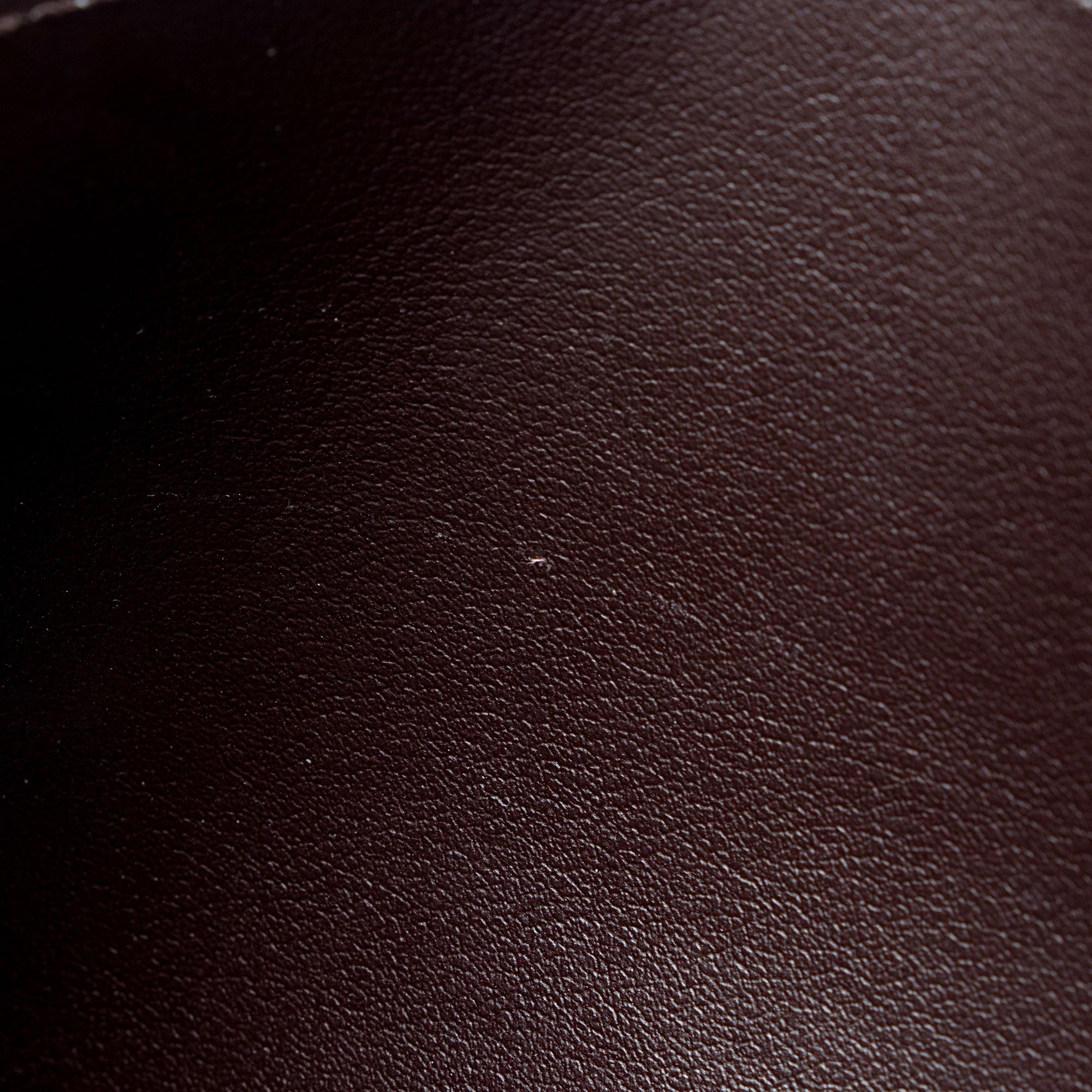 Louis Vuitton Calfskin Felicie Insert