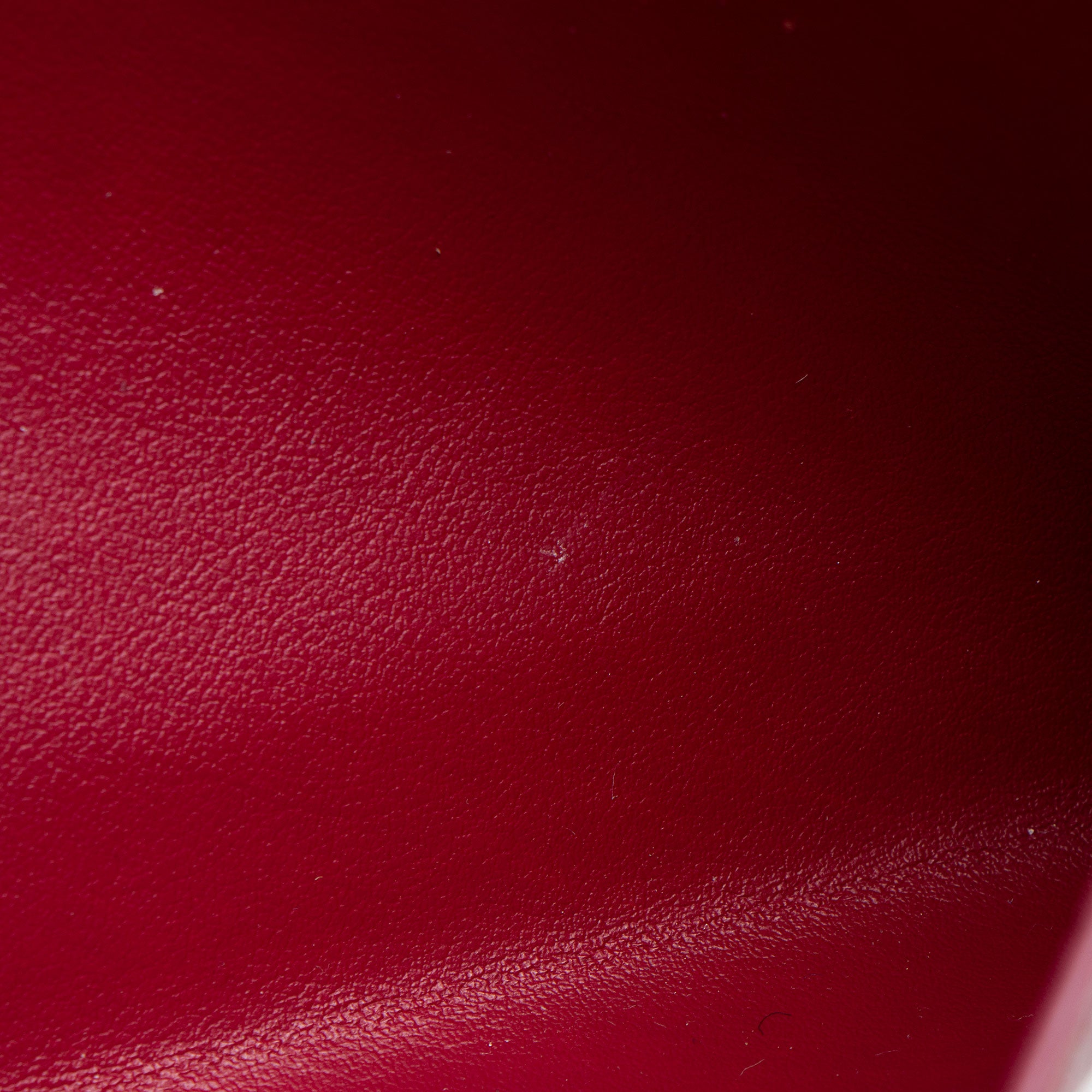 Louis Vuitton Calfskin Felicie Insert