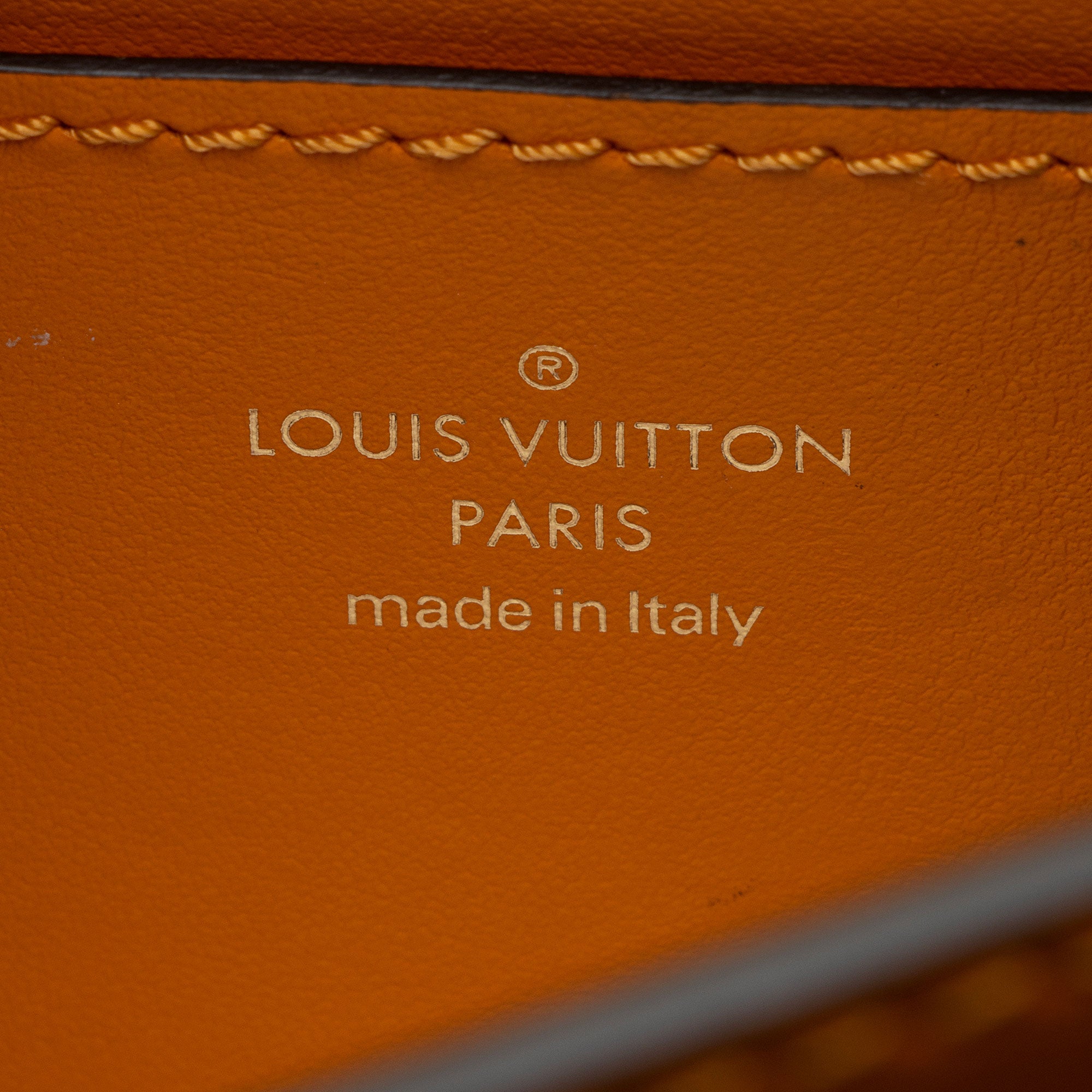 Louis Vuitton Calfskin LV Pont 9 Shoulder Bag