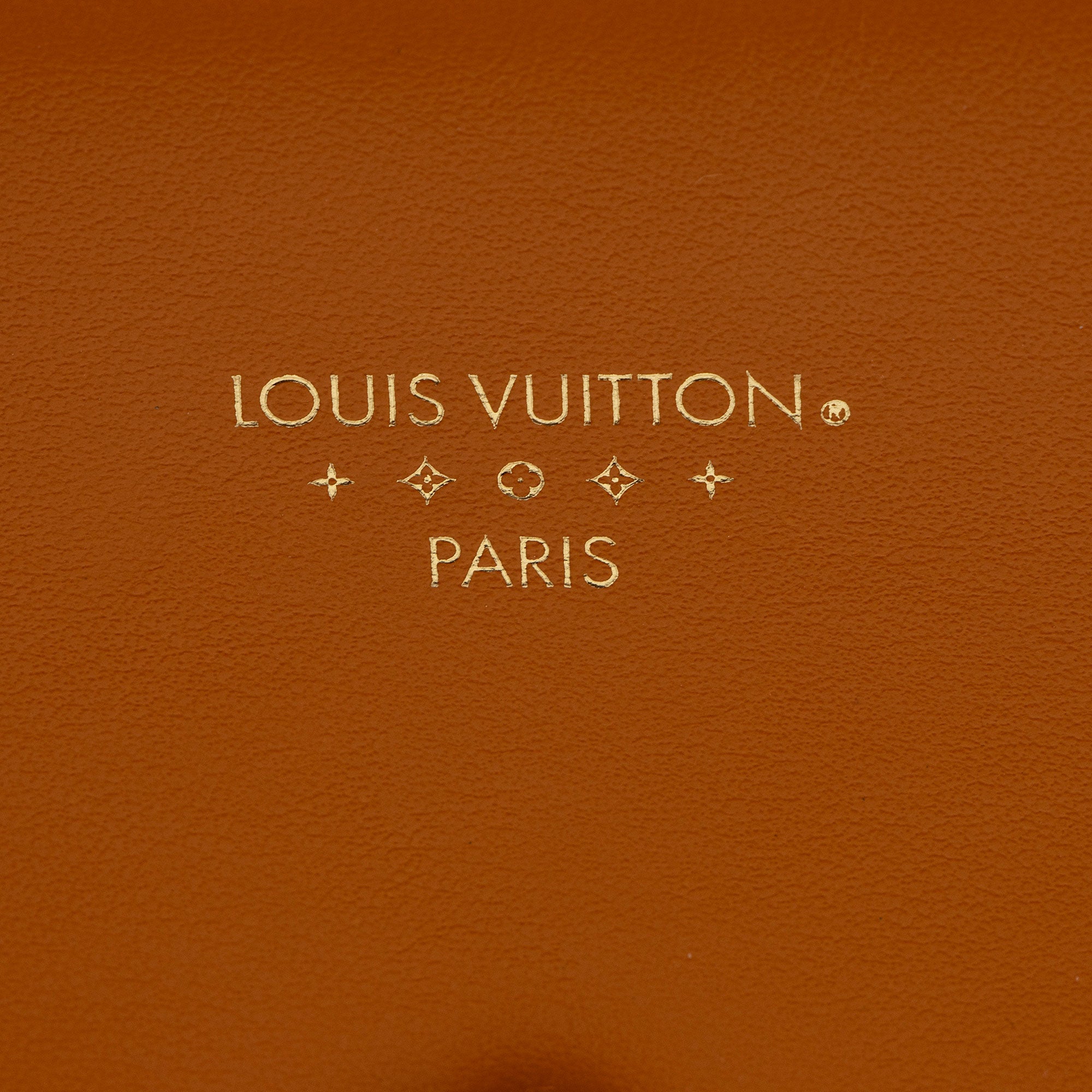 Louis Vuitton Calfskin LV Pont 9 Shoulder Bag