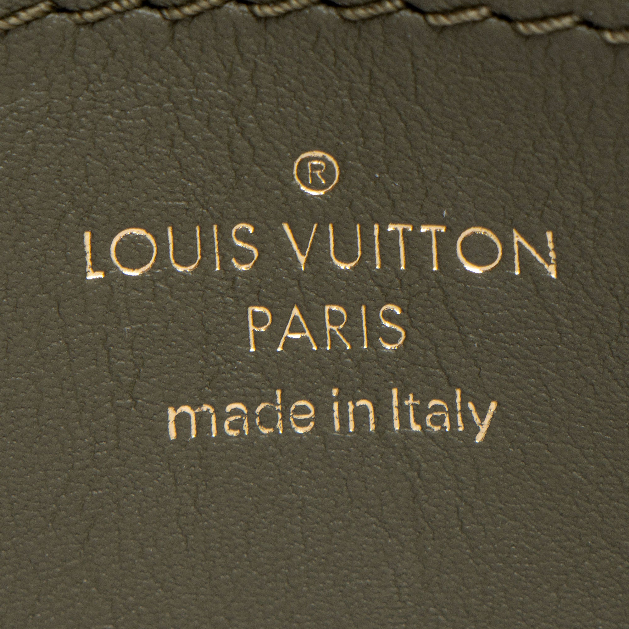 Louis Vuitton Calfskin New Wave Multi-Pochette Accessoires