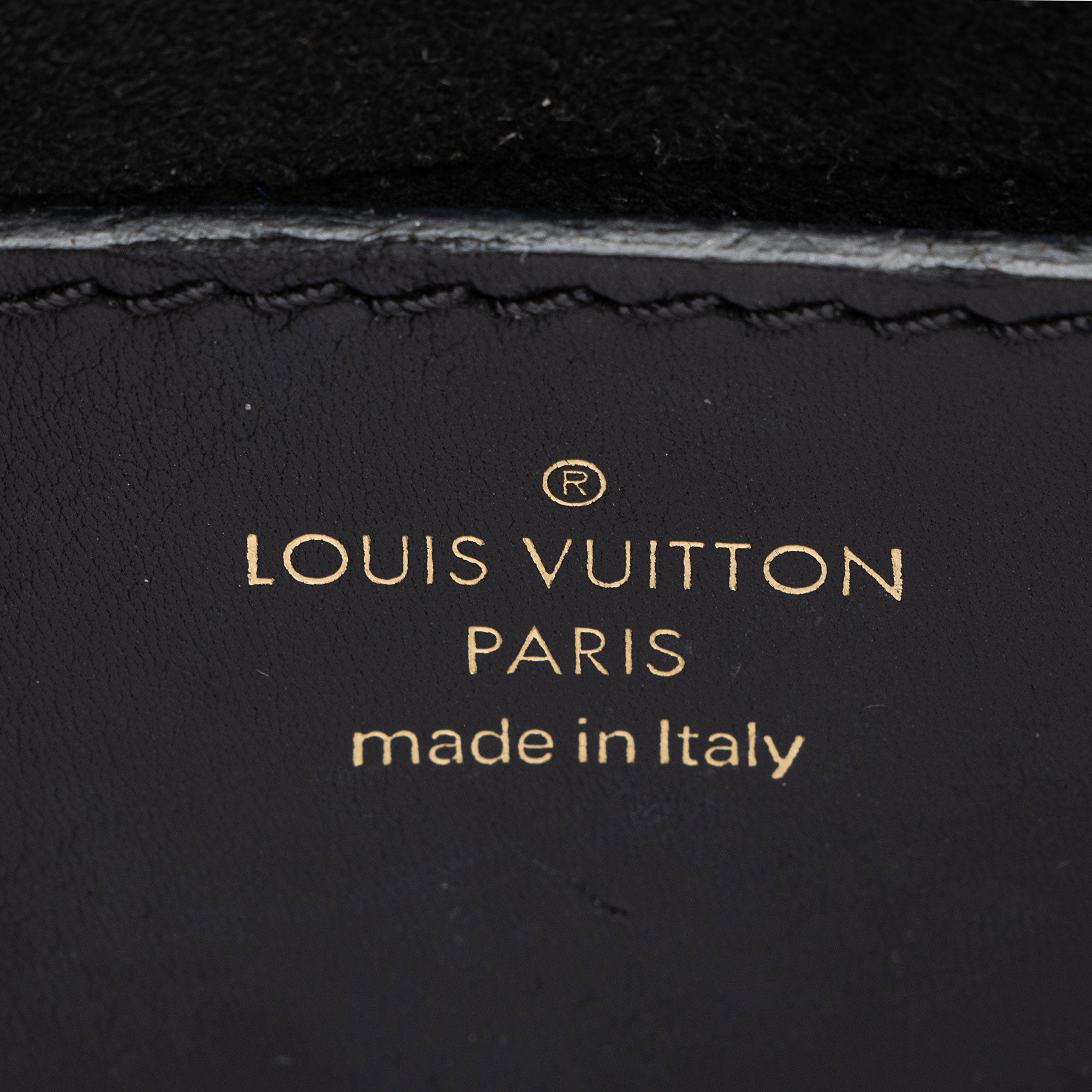 Louis Vuitton Calfskin New Wave Multi-Pochette Accessoires