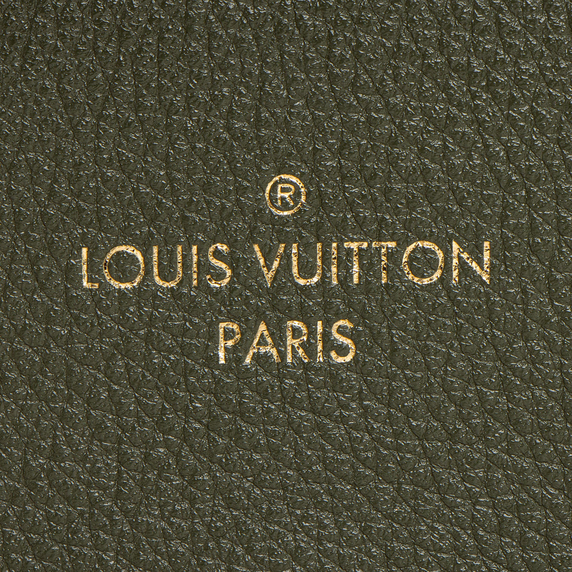 Louis Vuitton Calfskin Rose Des Vents MM Top Handle