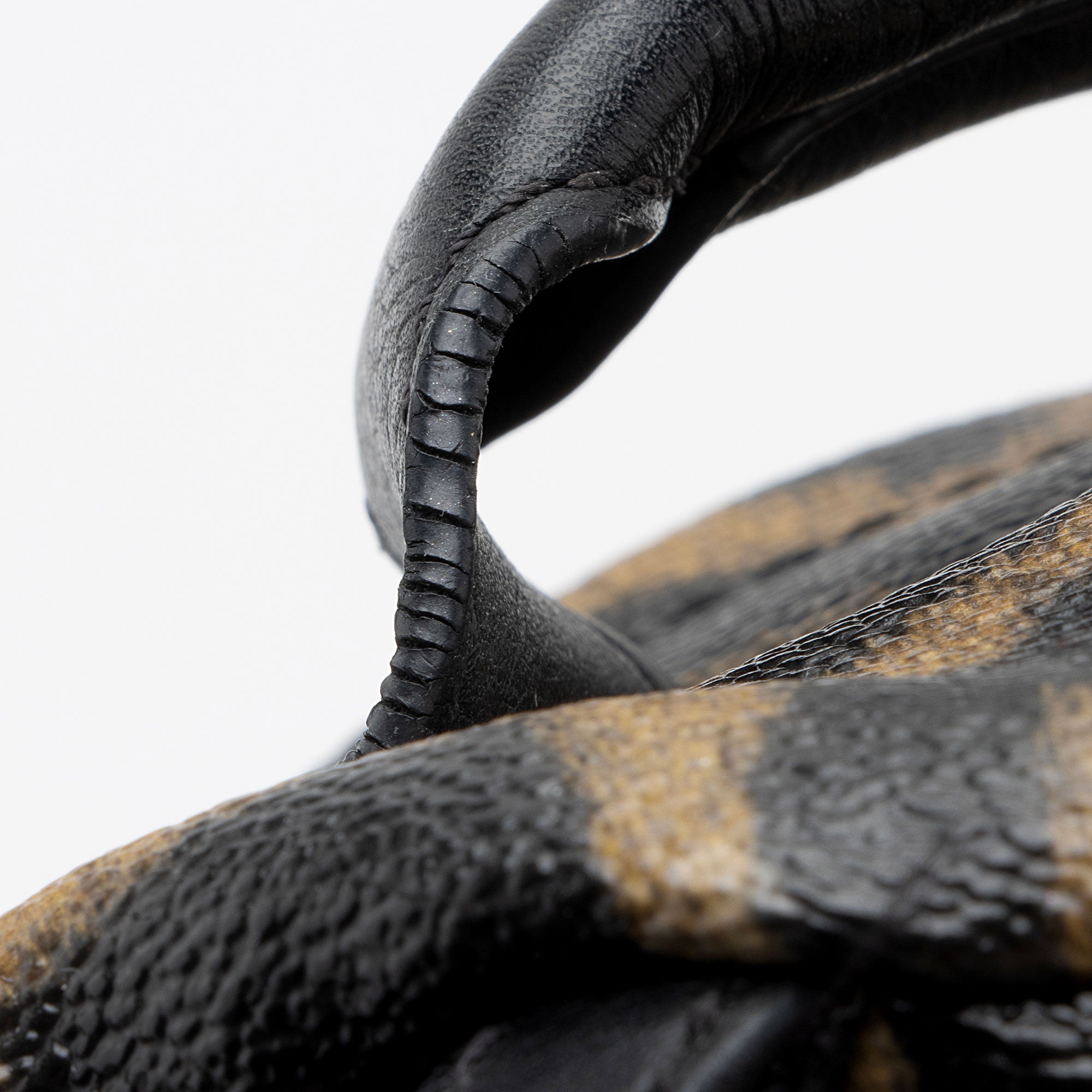 Louis Vuitton Coated Canvas Wild Animal Print Palm Springs PM Backpack