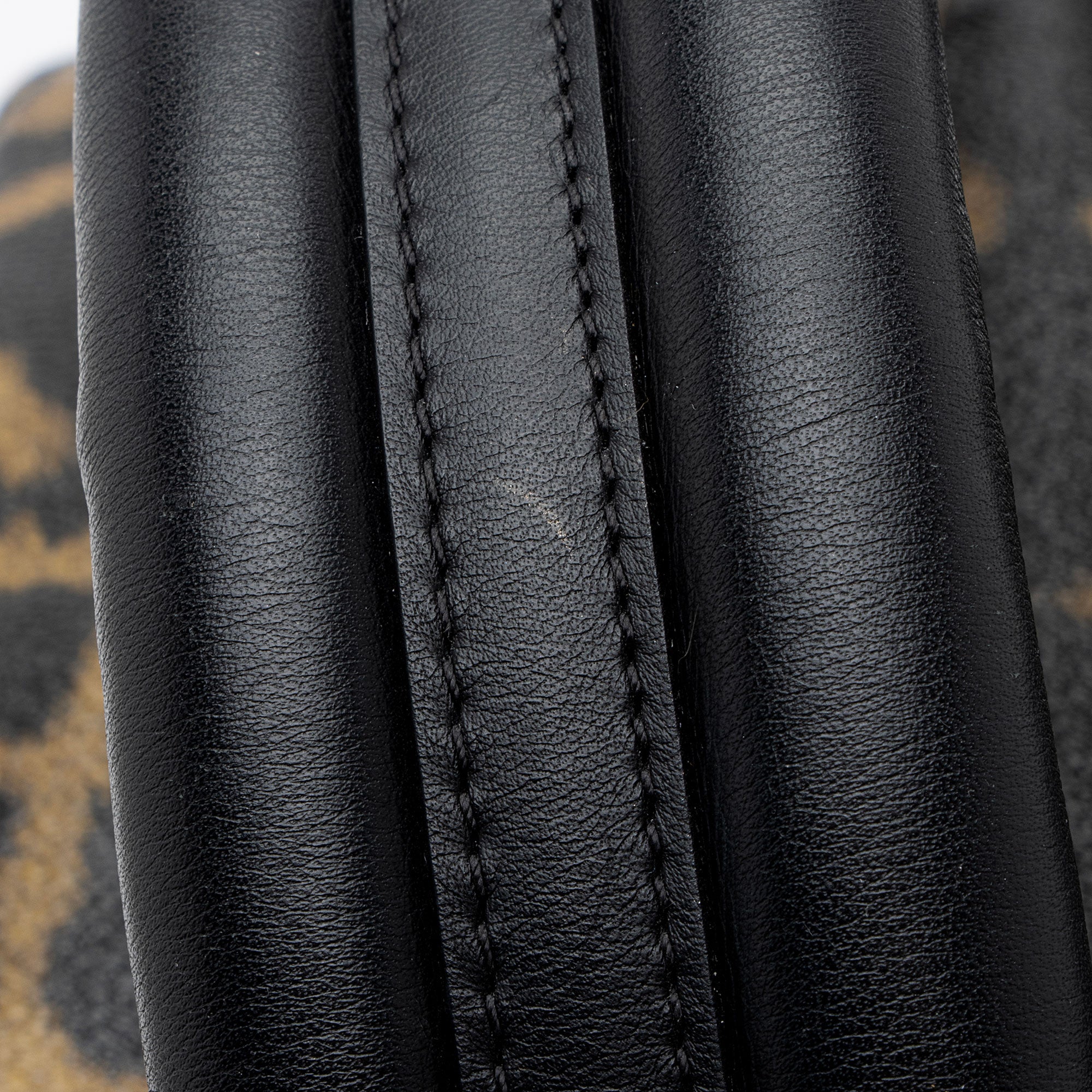 Louis Vuitton Coated Canvas Wild Animal Print Palm Springs PM Backpack