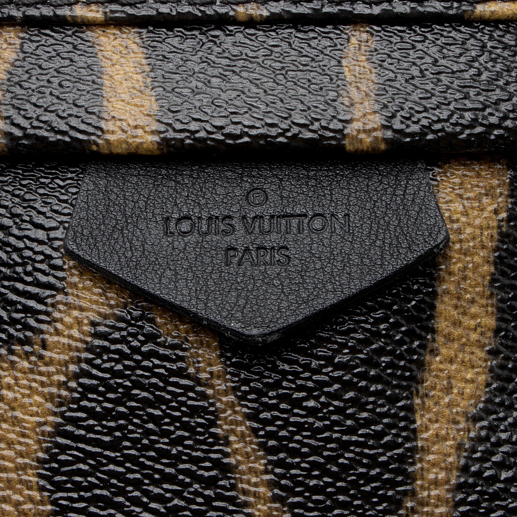 Louis Vuitton Coated Canvas Wild Animal Print Palm Springs PM Backpack