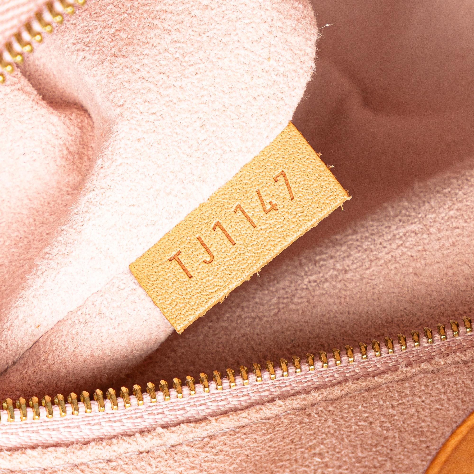 Louis Vuitton Damier Azur Propriano