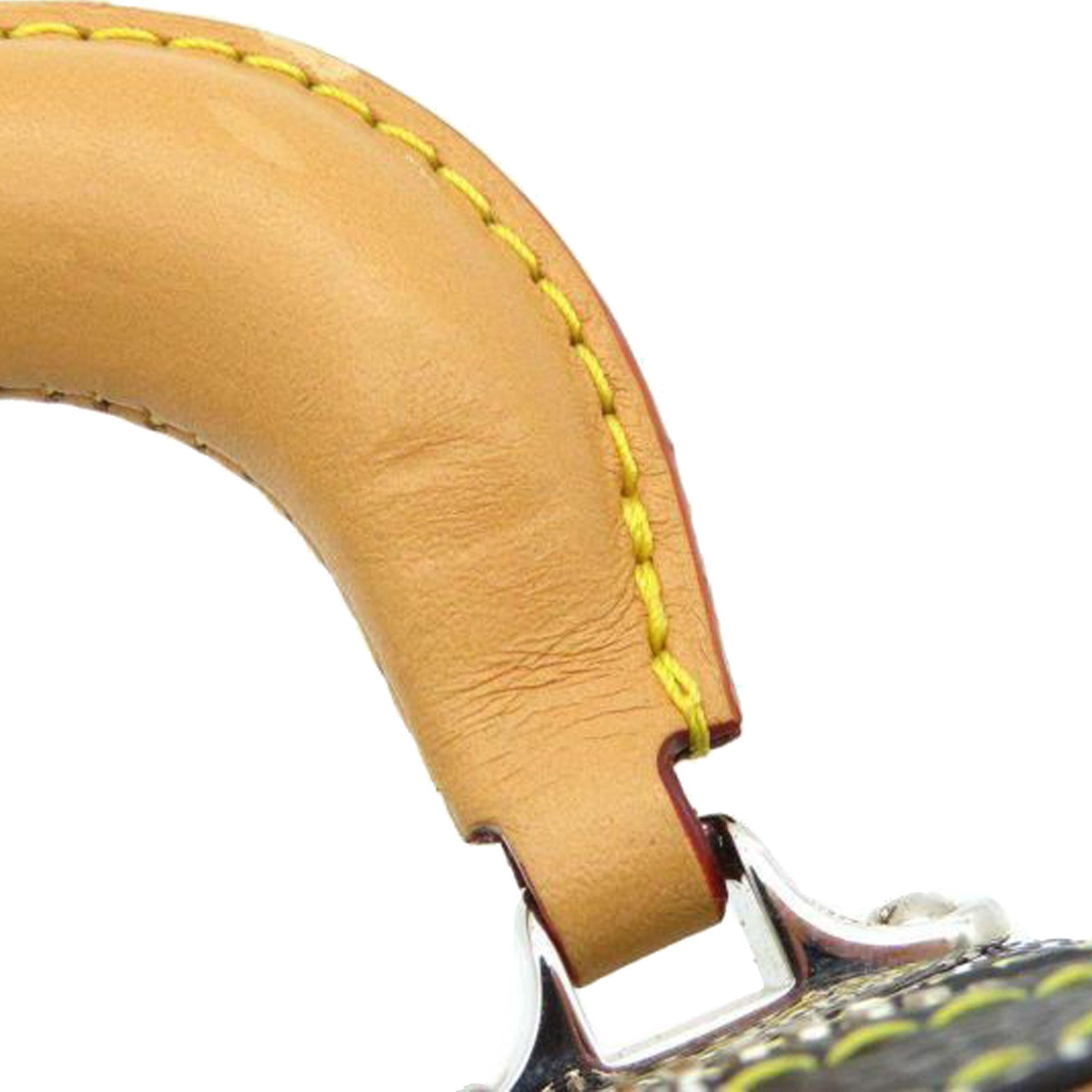 Louis Vuitton Damier Colors Valisette Verticale