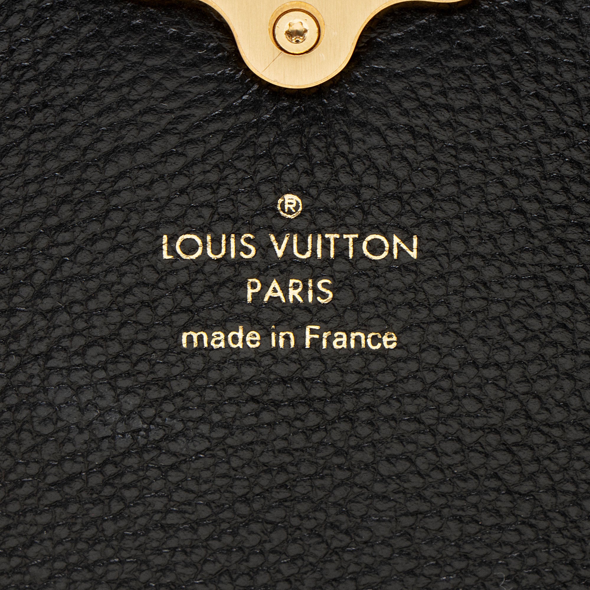 Louis Vuitton Damier Ebene Calfskin Clapton PM Shoulder Bag