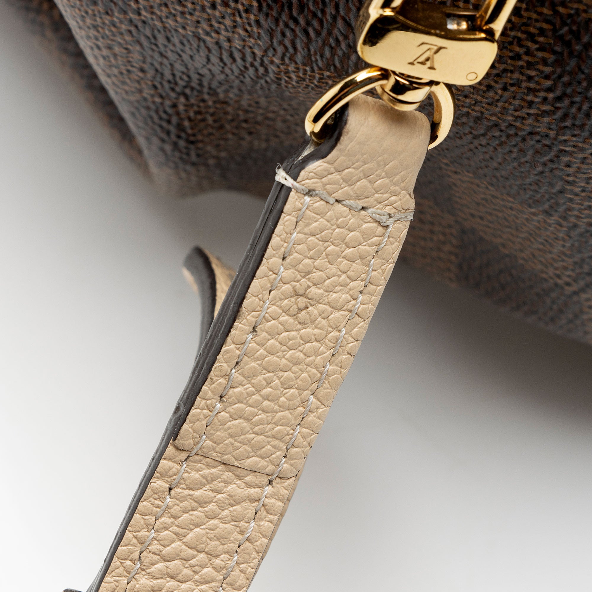 Louis Vuitton Damier Ebene Clapton Backpack