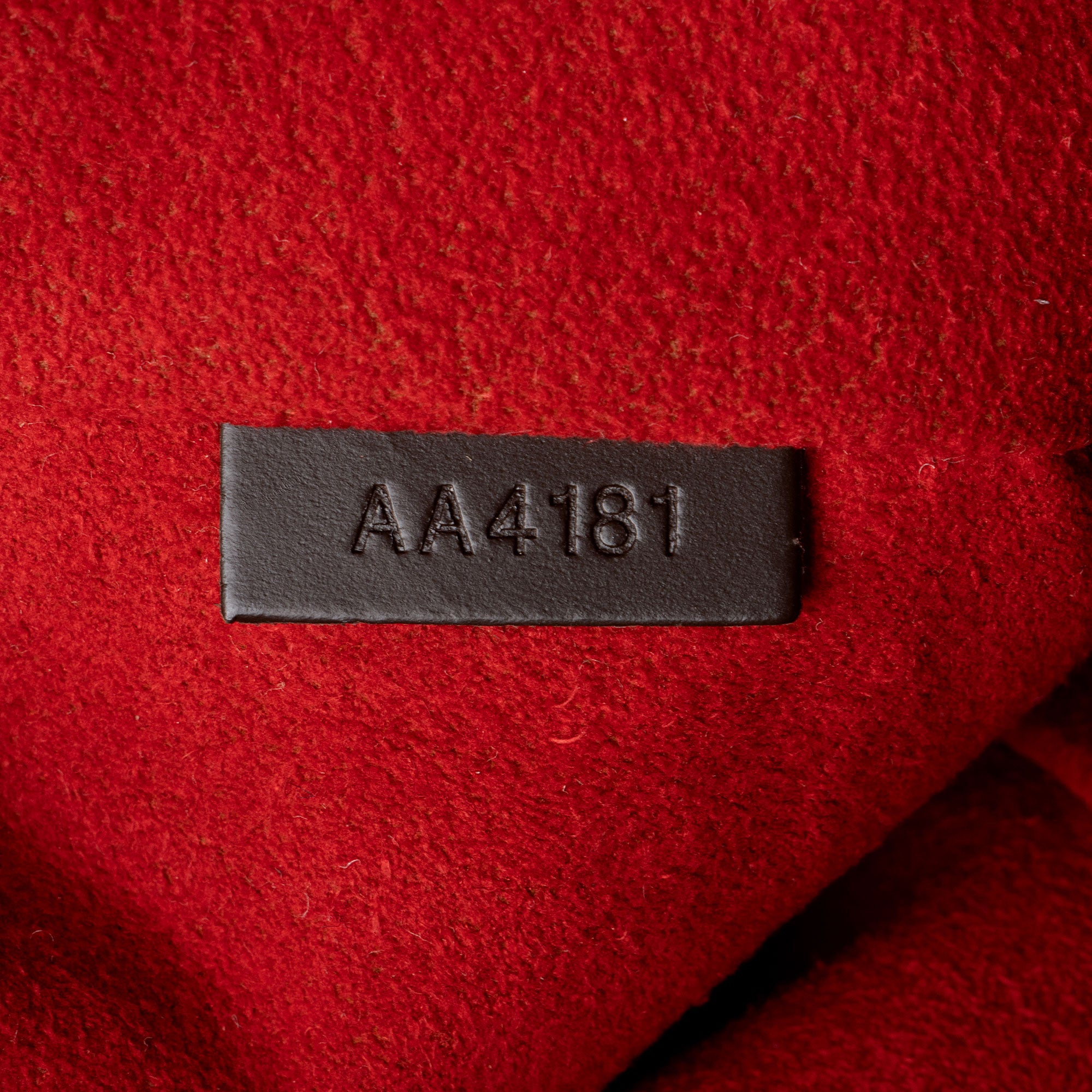 Louis Vuitton Damier Ebene Evora MM Tote